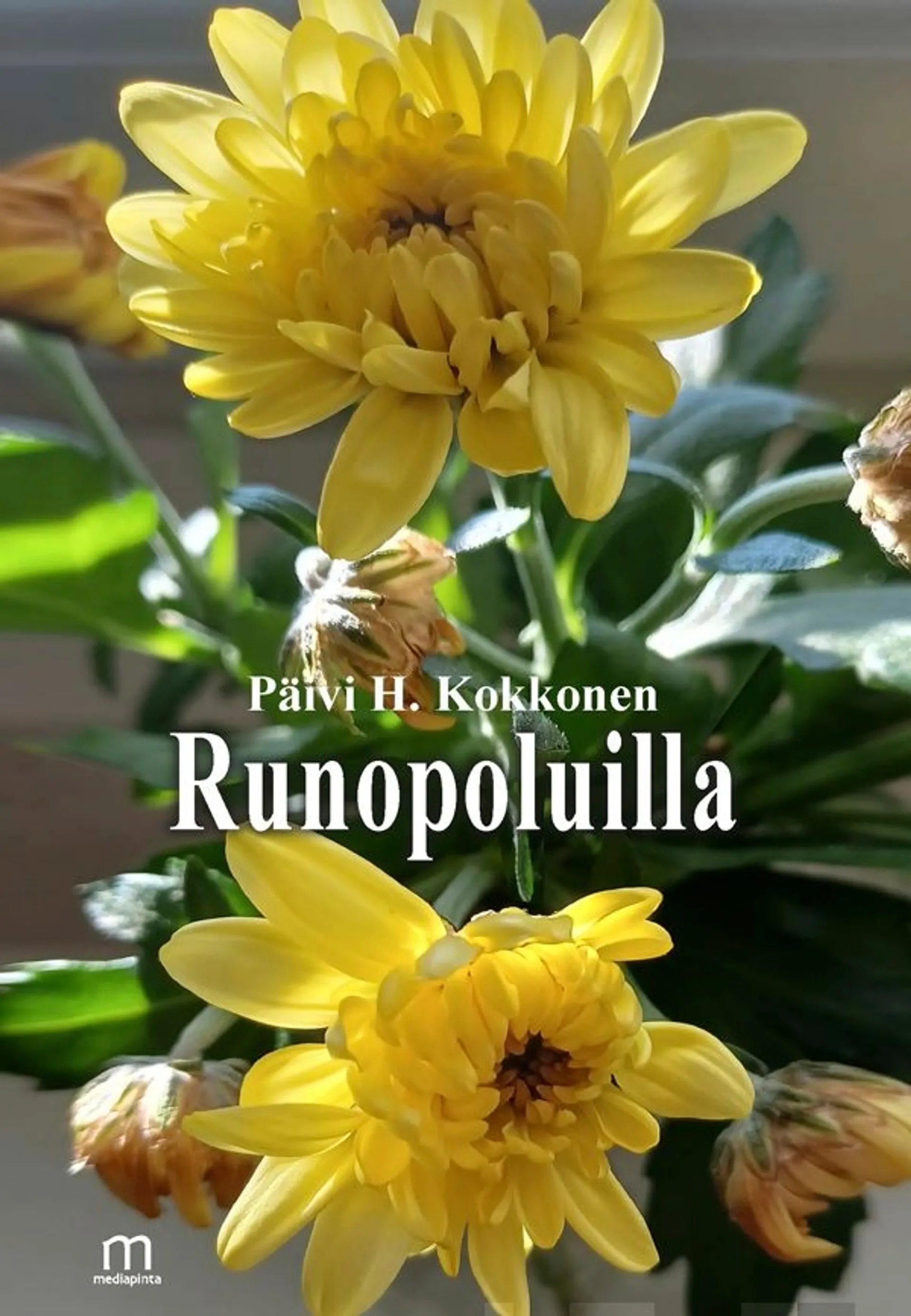 Kokkonen, Runopoluilla