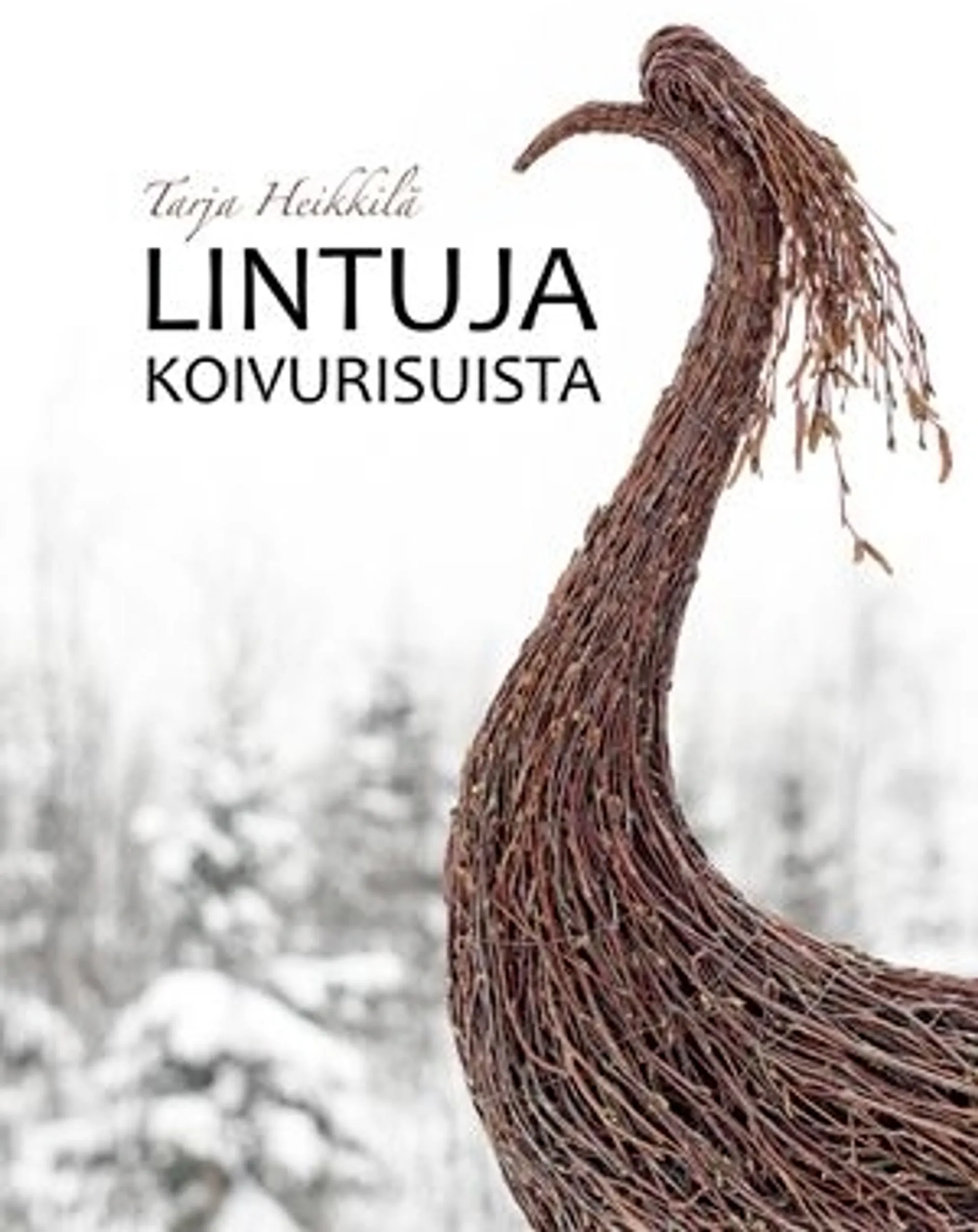 Heikkilä, Lintuja koivurisuista