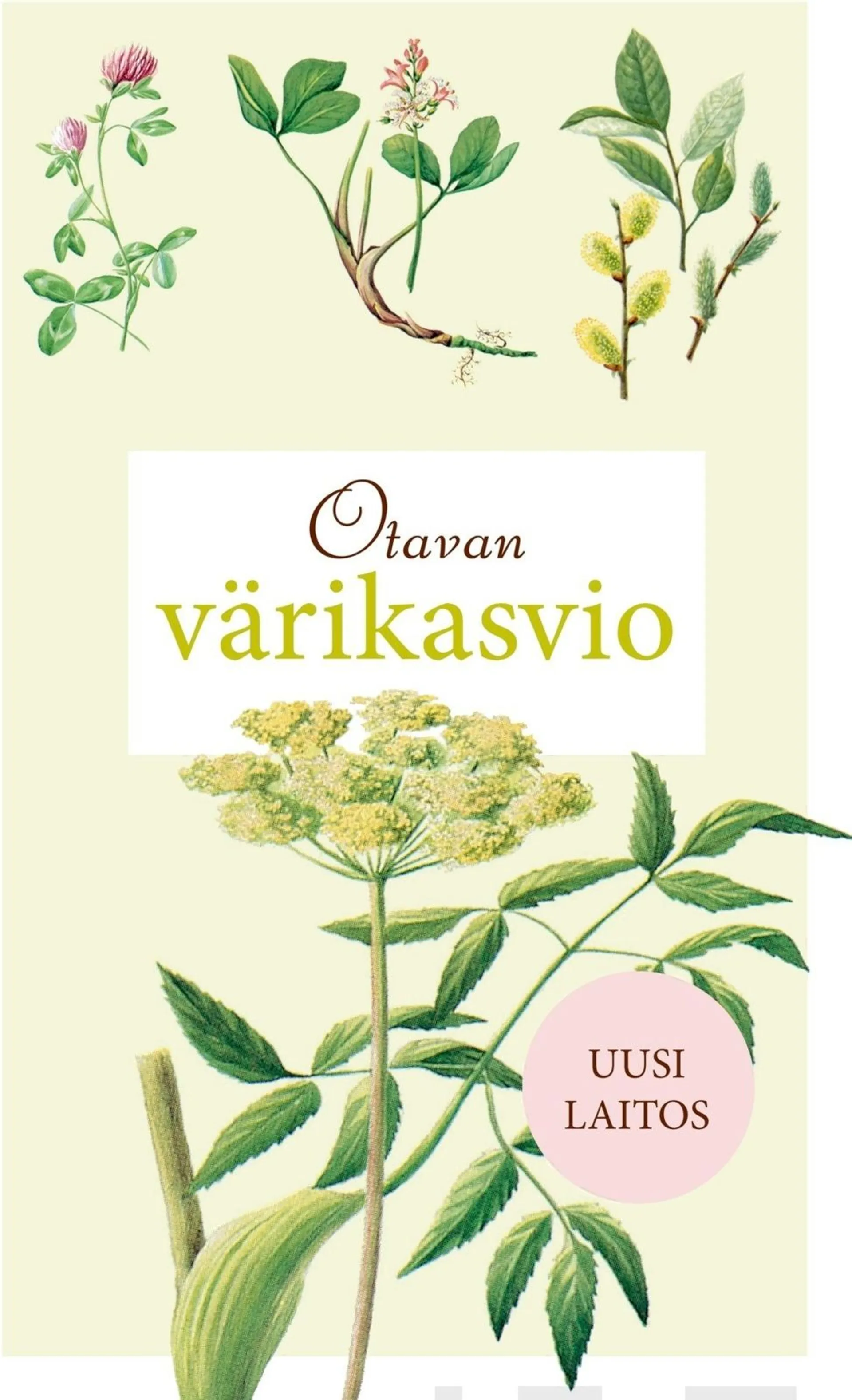 Ursing, Otavan värikasvio