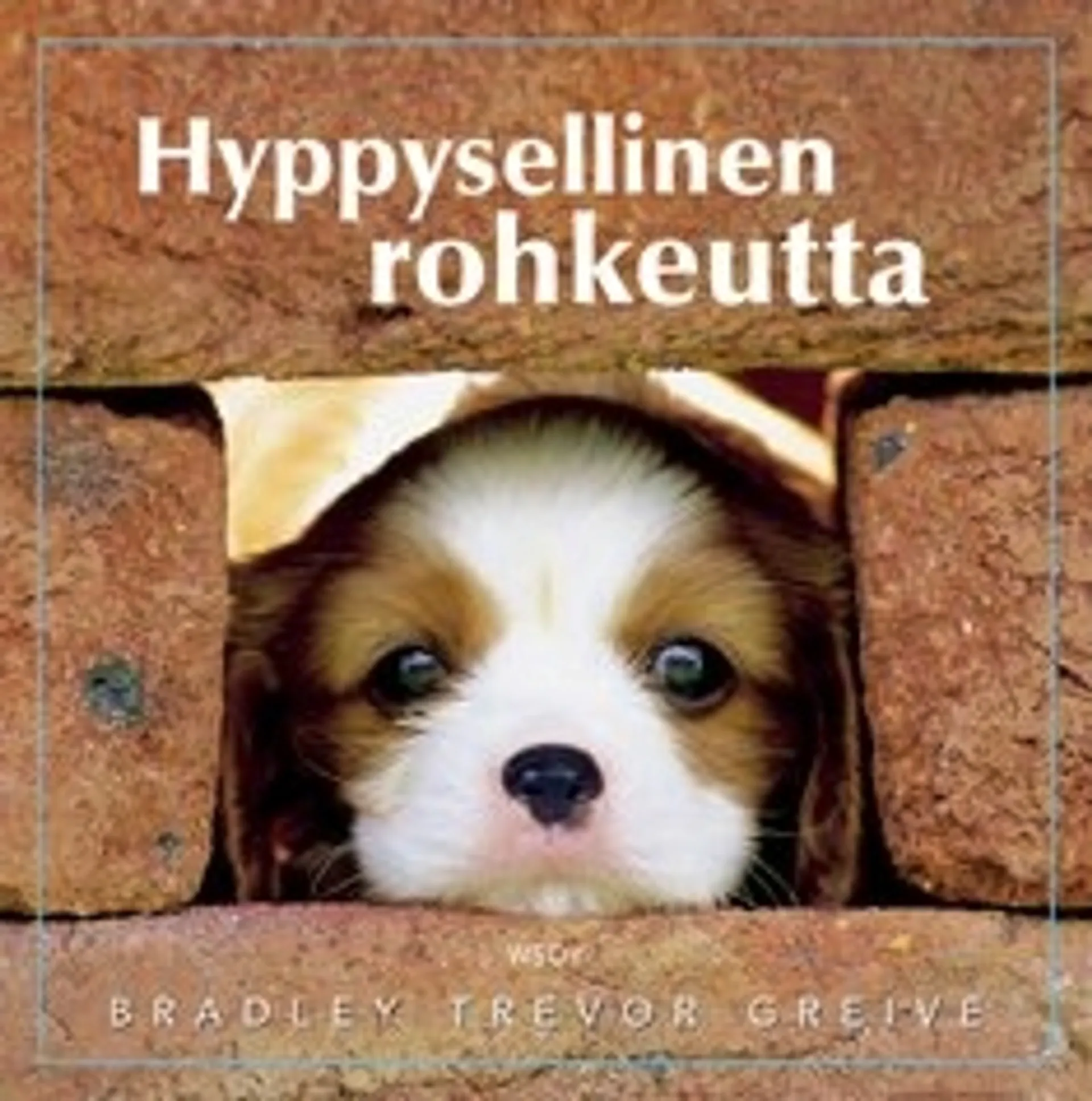 Hyppysellinen rohkeutta