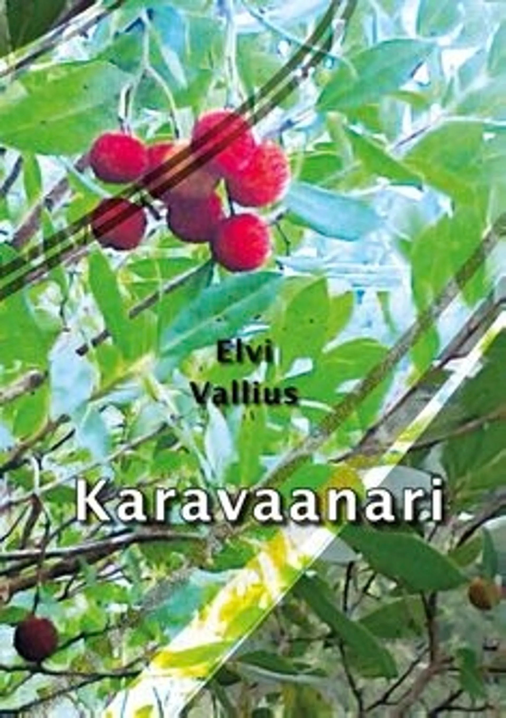 Vallius, Karavaanari