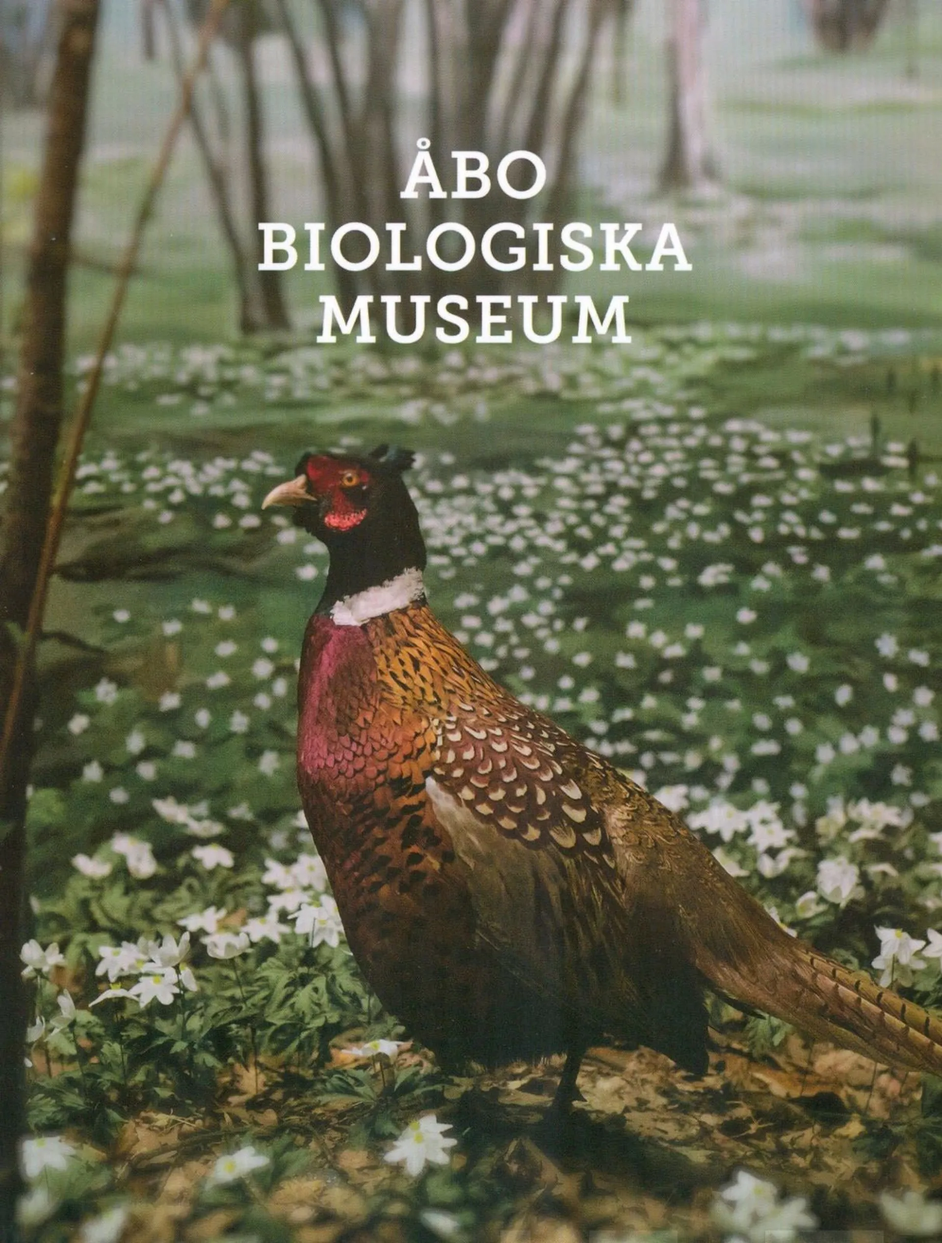 Jussila, Åbo biologiska museum