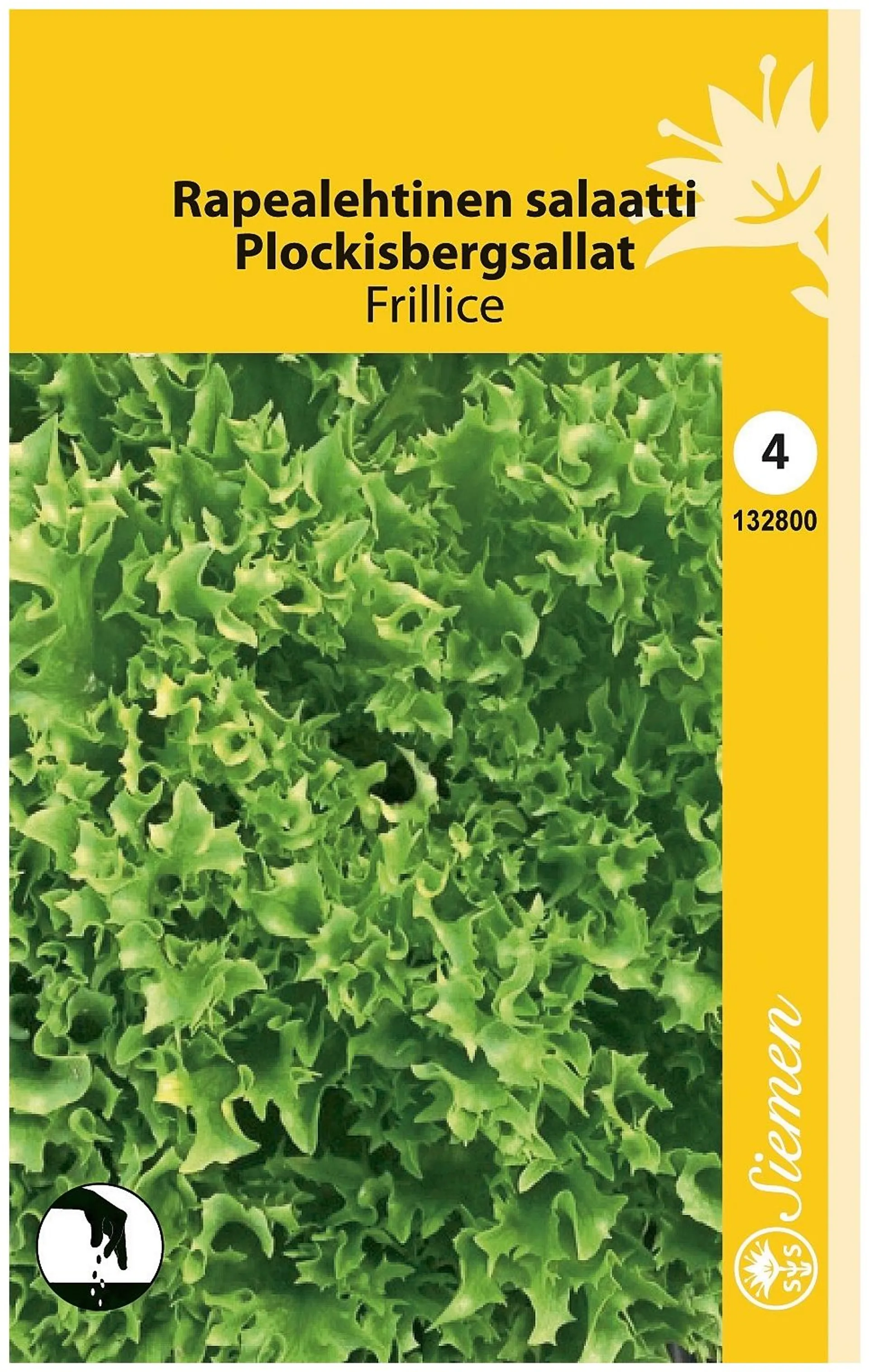 Salaatti Frillice Annospussi