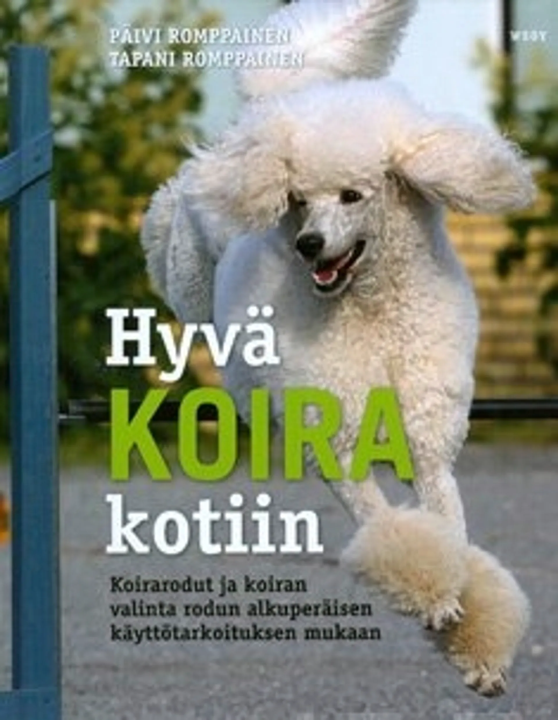 Hyvä koira kotiin