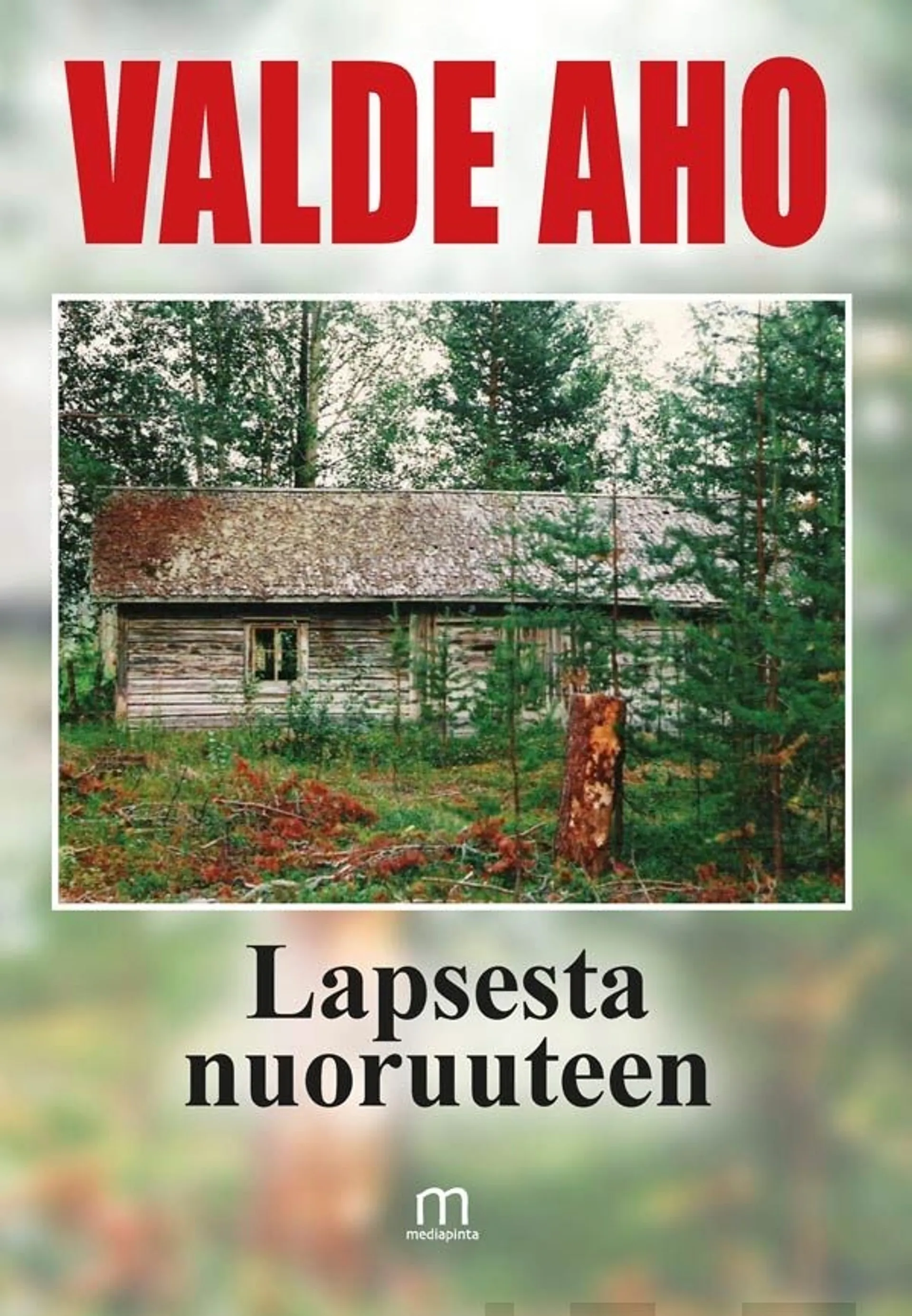 Aho, Lapsesta nuoruuteen