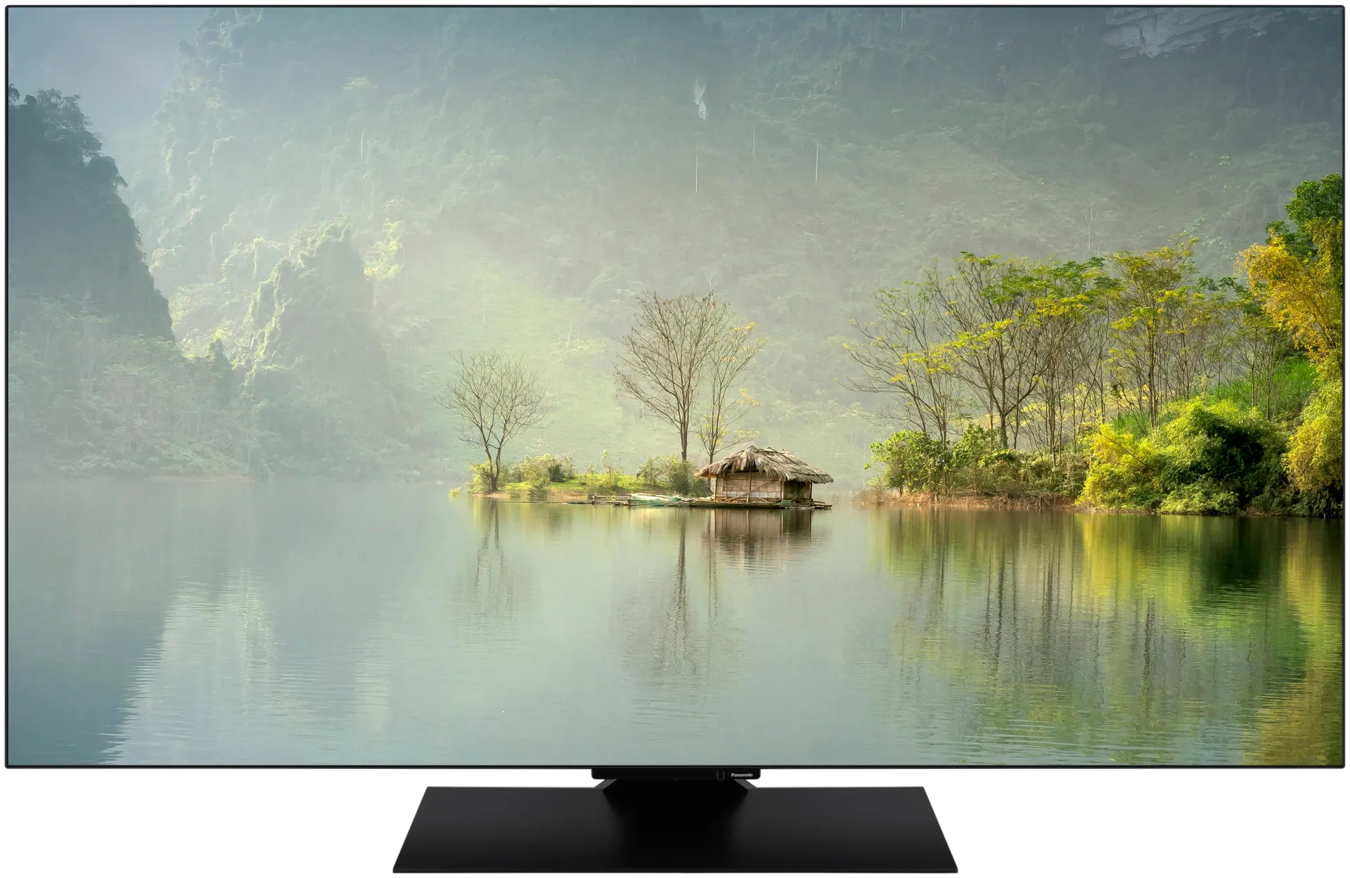 Panasonic 65" 4K UHD OLED TV TV-65Z80AEZ - 4