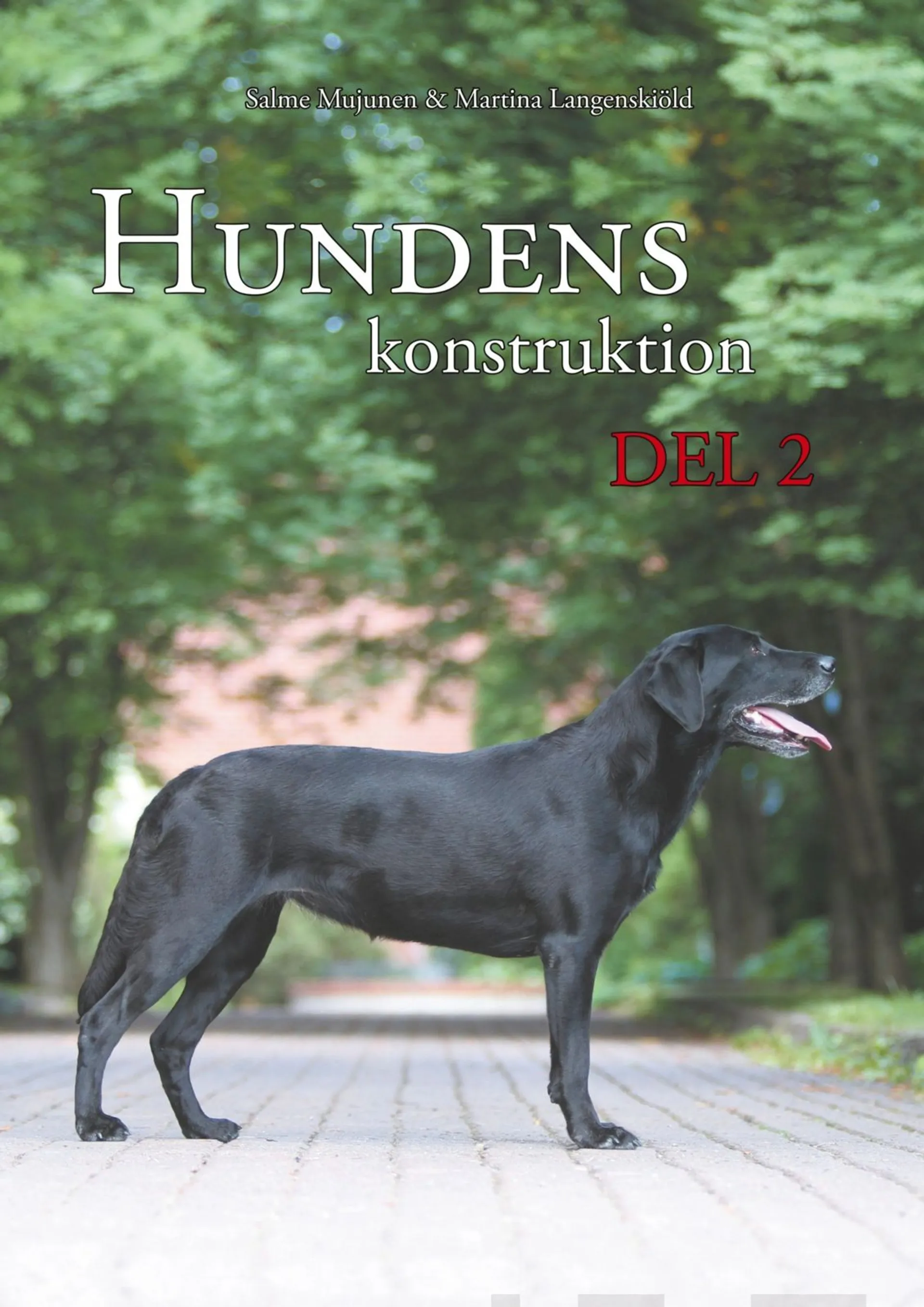 Mujunen, Hundens konstruktion, del 2