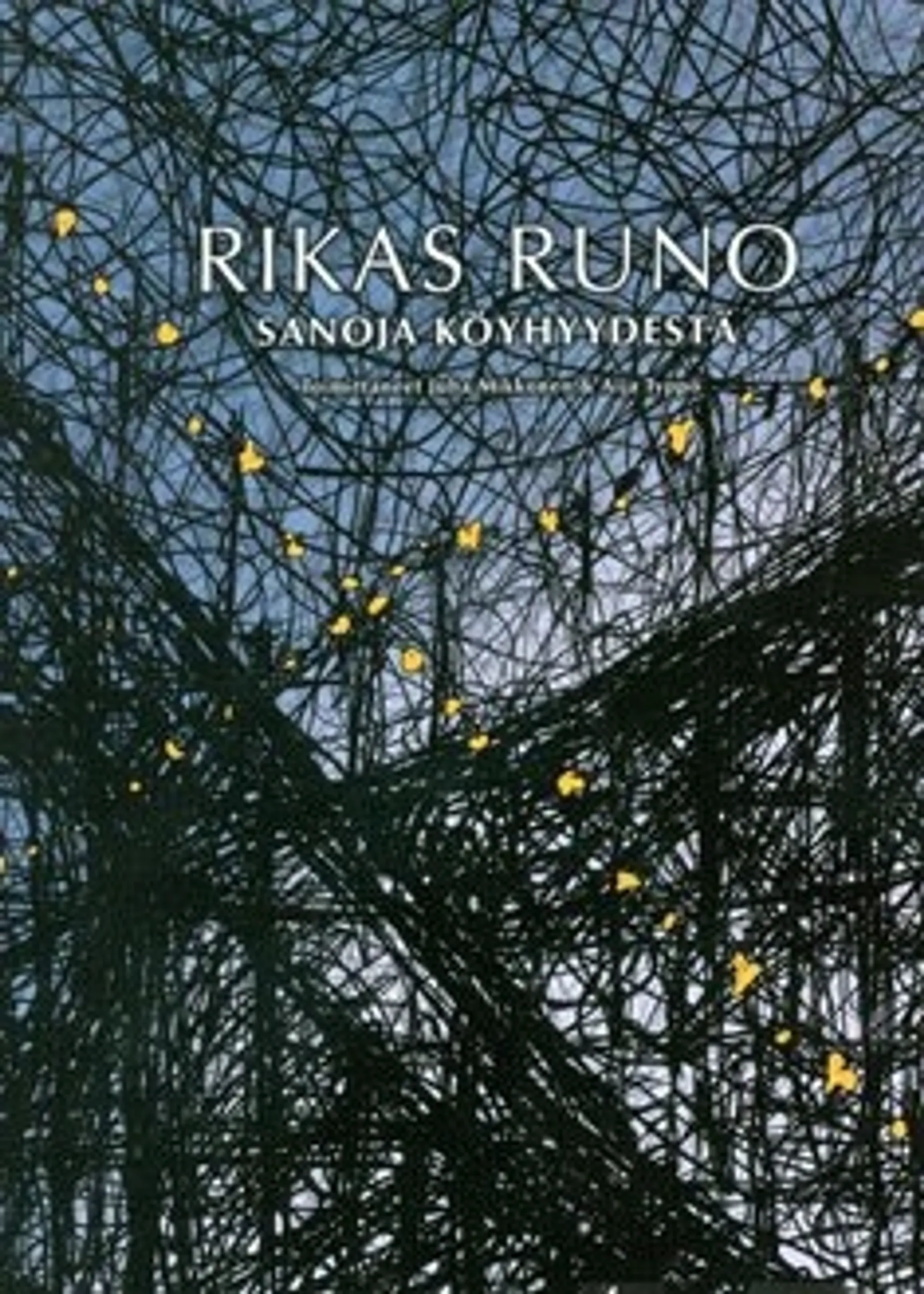 Rikas runo