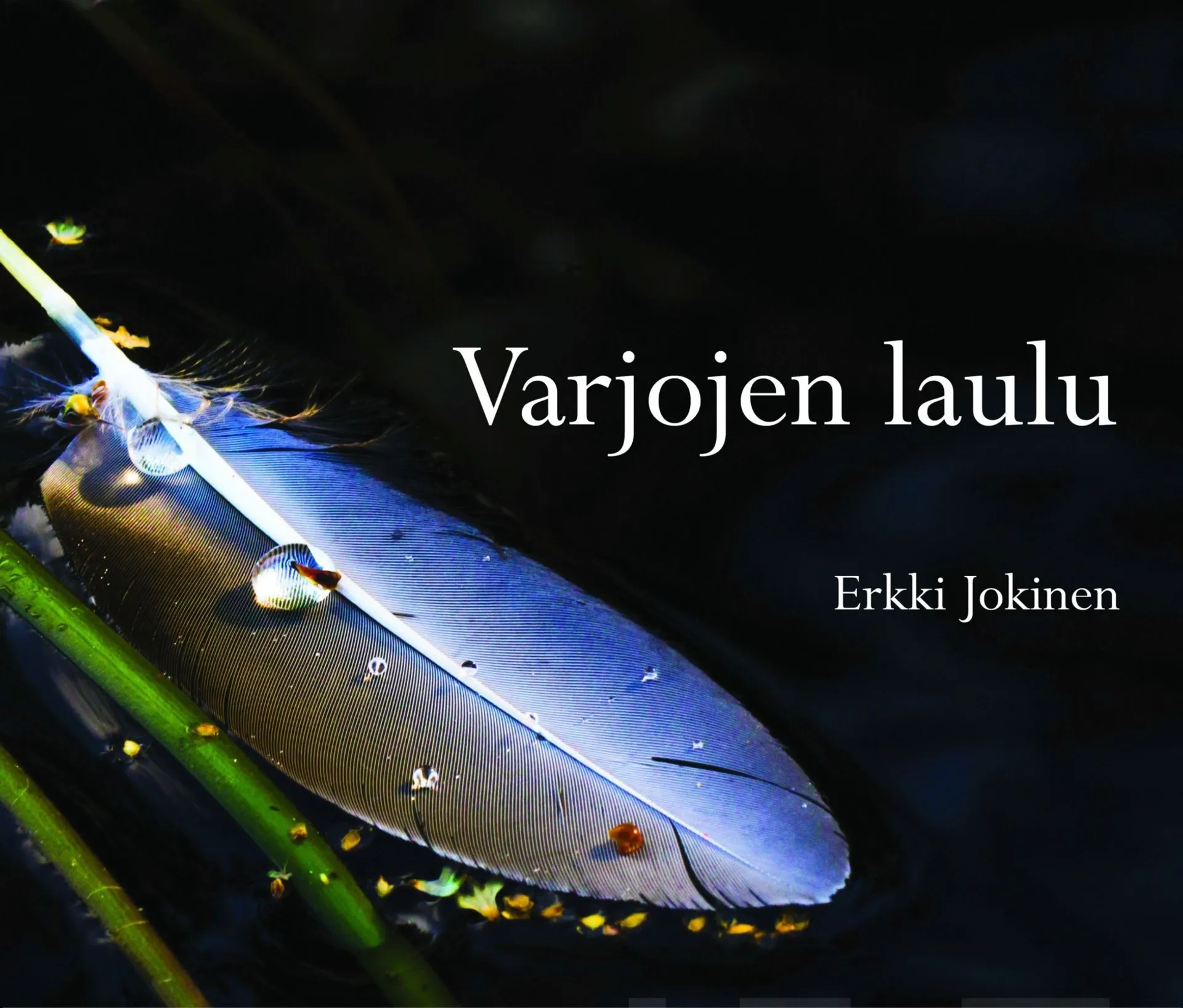 Jokinen, Varjojen laulu - Jobin sanoma toivosta