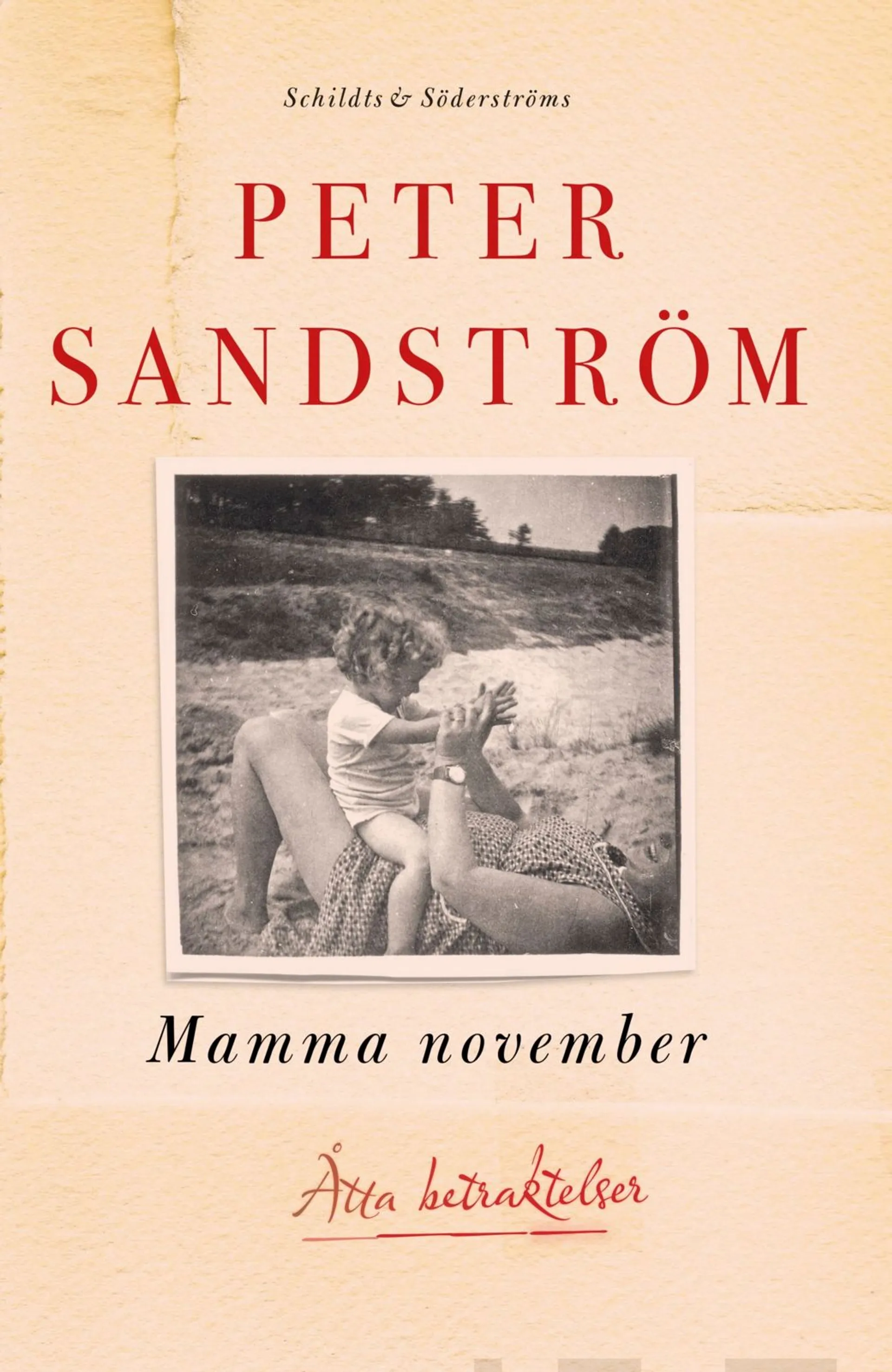 Sandström, Mamma november - Åtta betraktelser