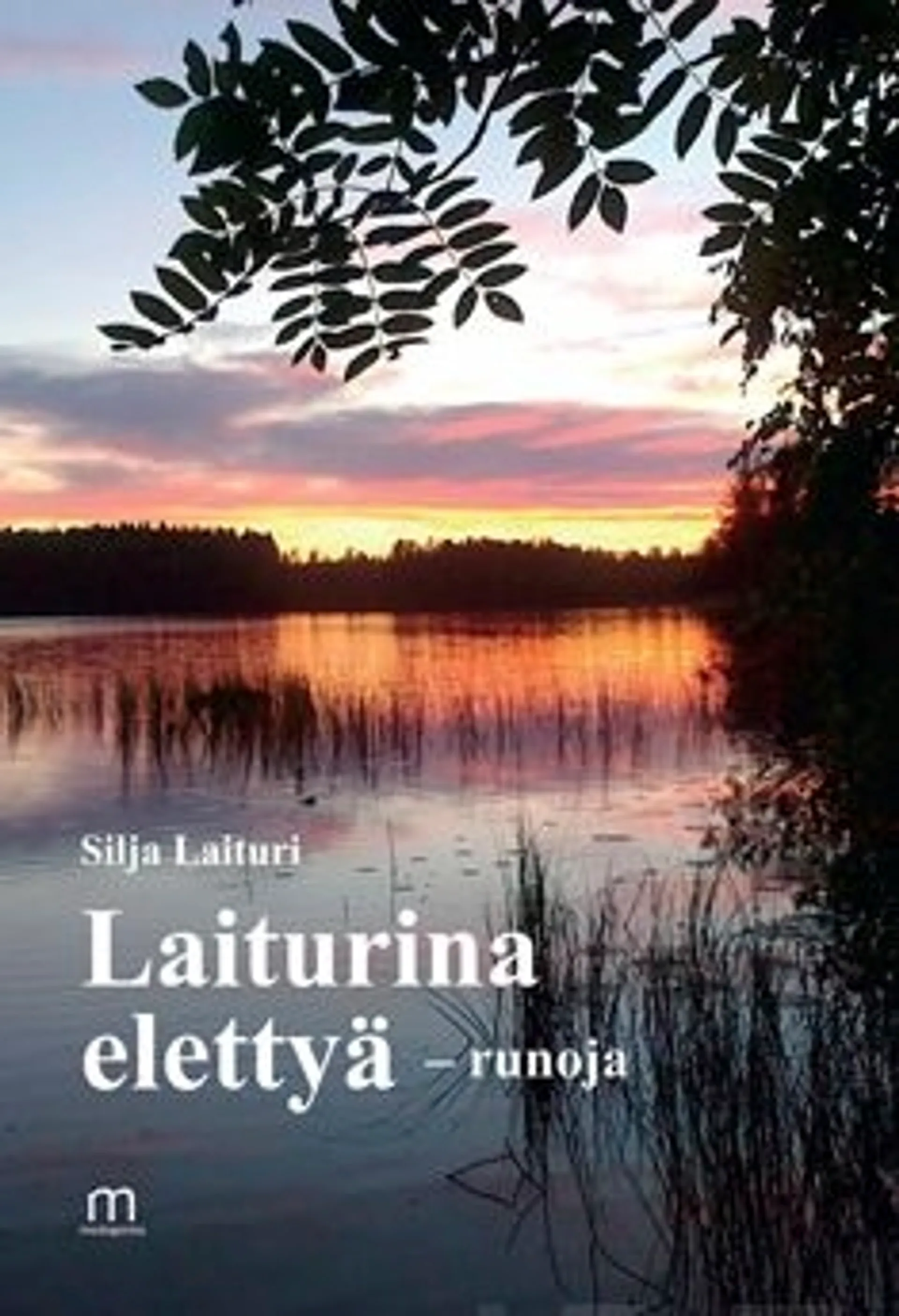 Laituri, Laiturina elettyä