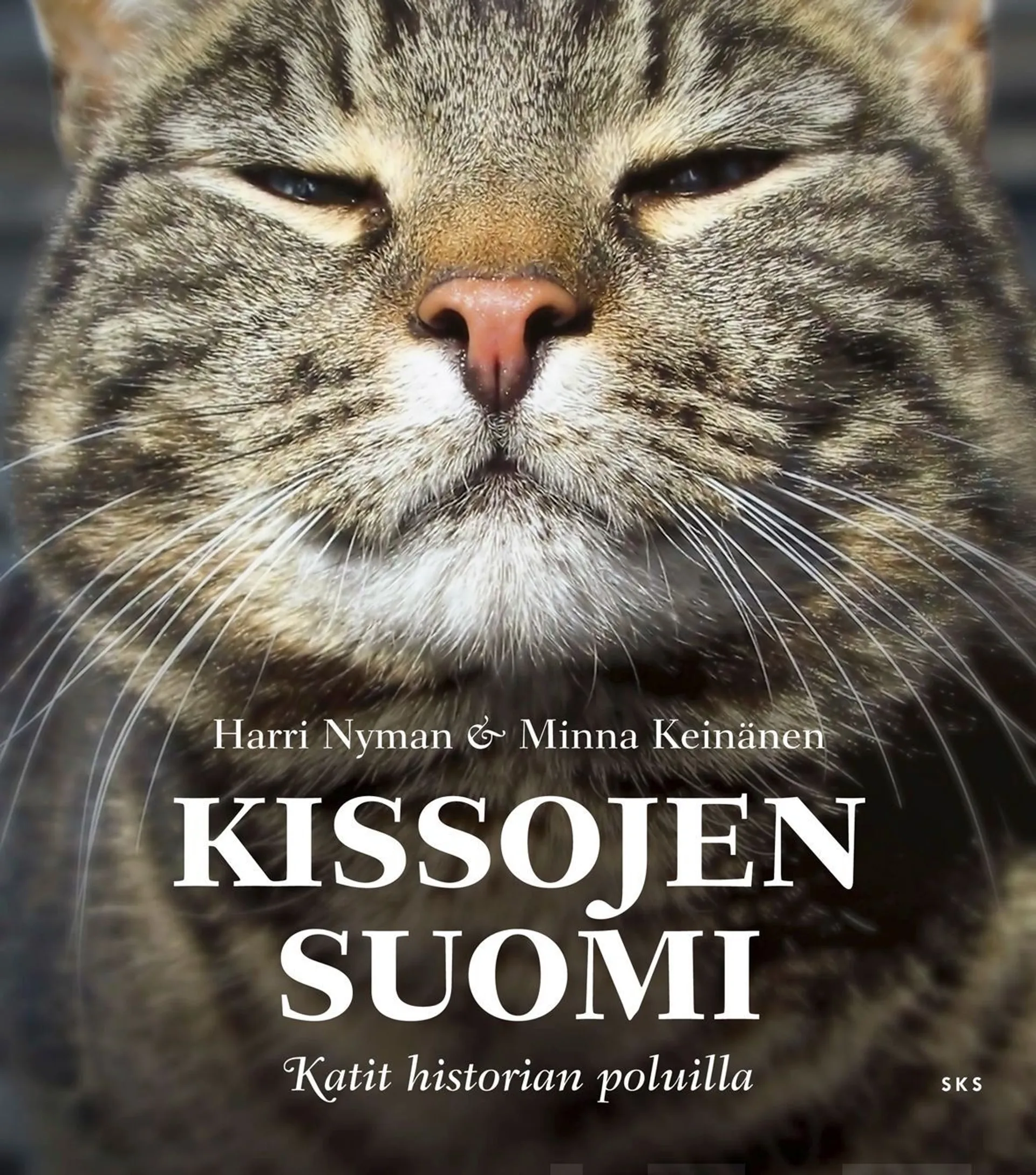 Keinänen, Kissojen Suomi