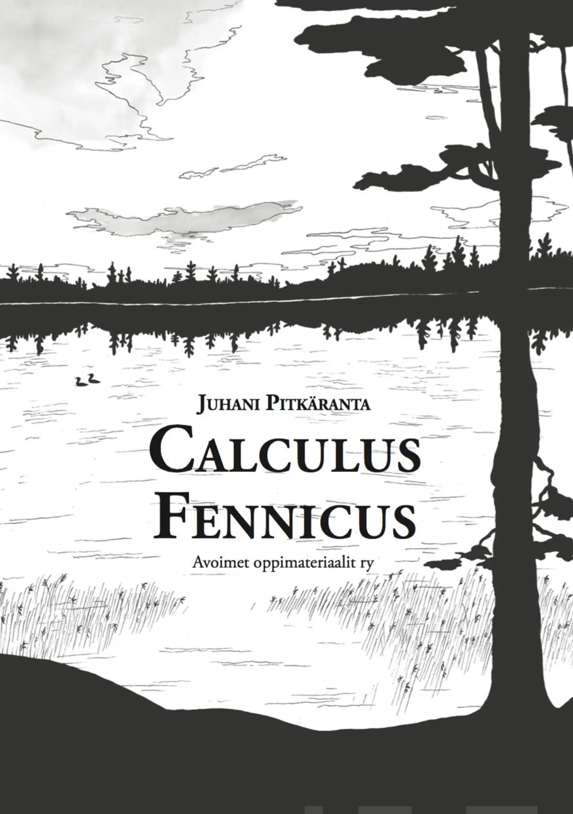 Pitkäranta, Calculus Fennicus - TKK:n 1. lukuvuoden laaja matematiikka (2000-2013)