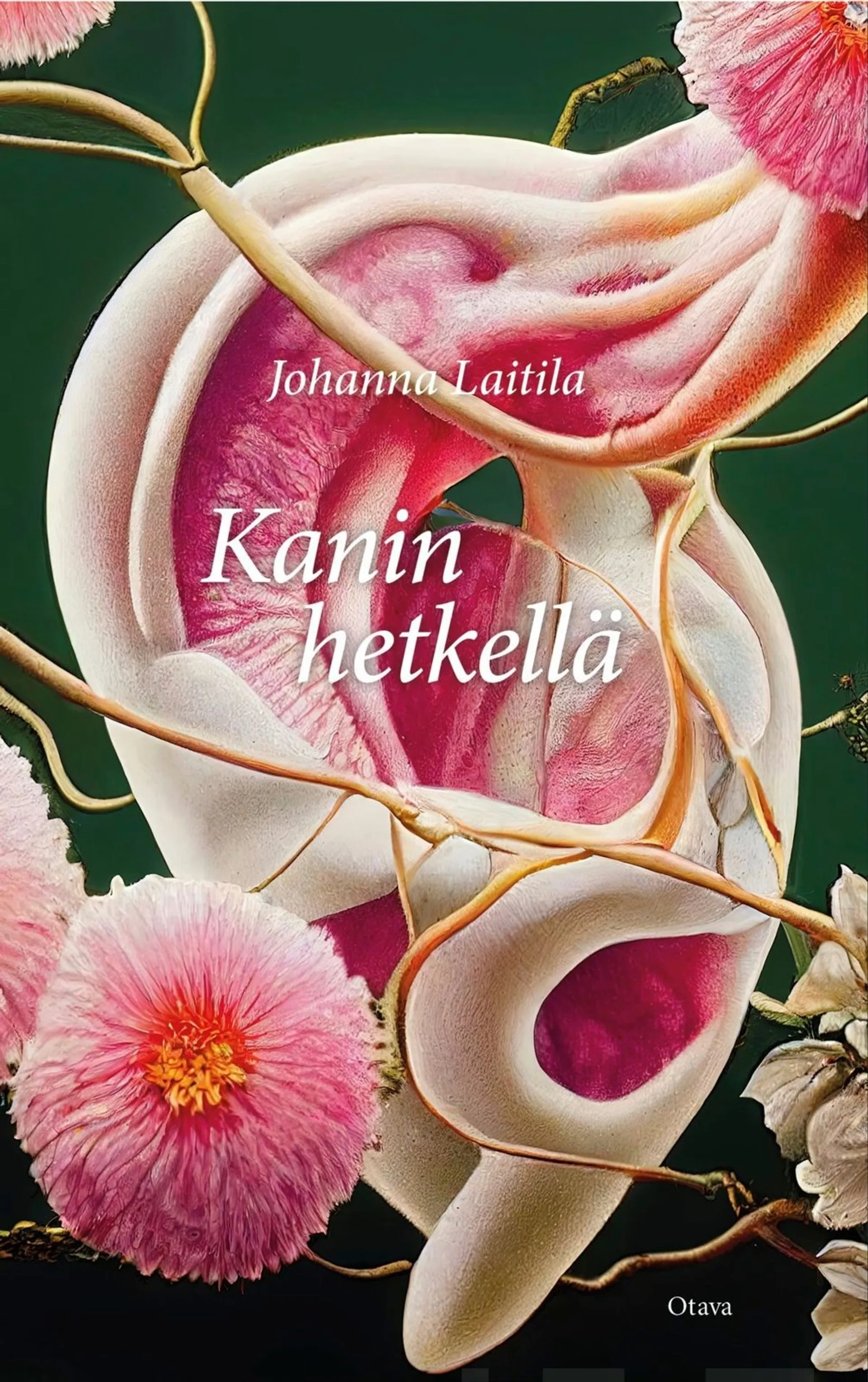 Laitila, Kanin hetkellä