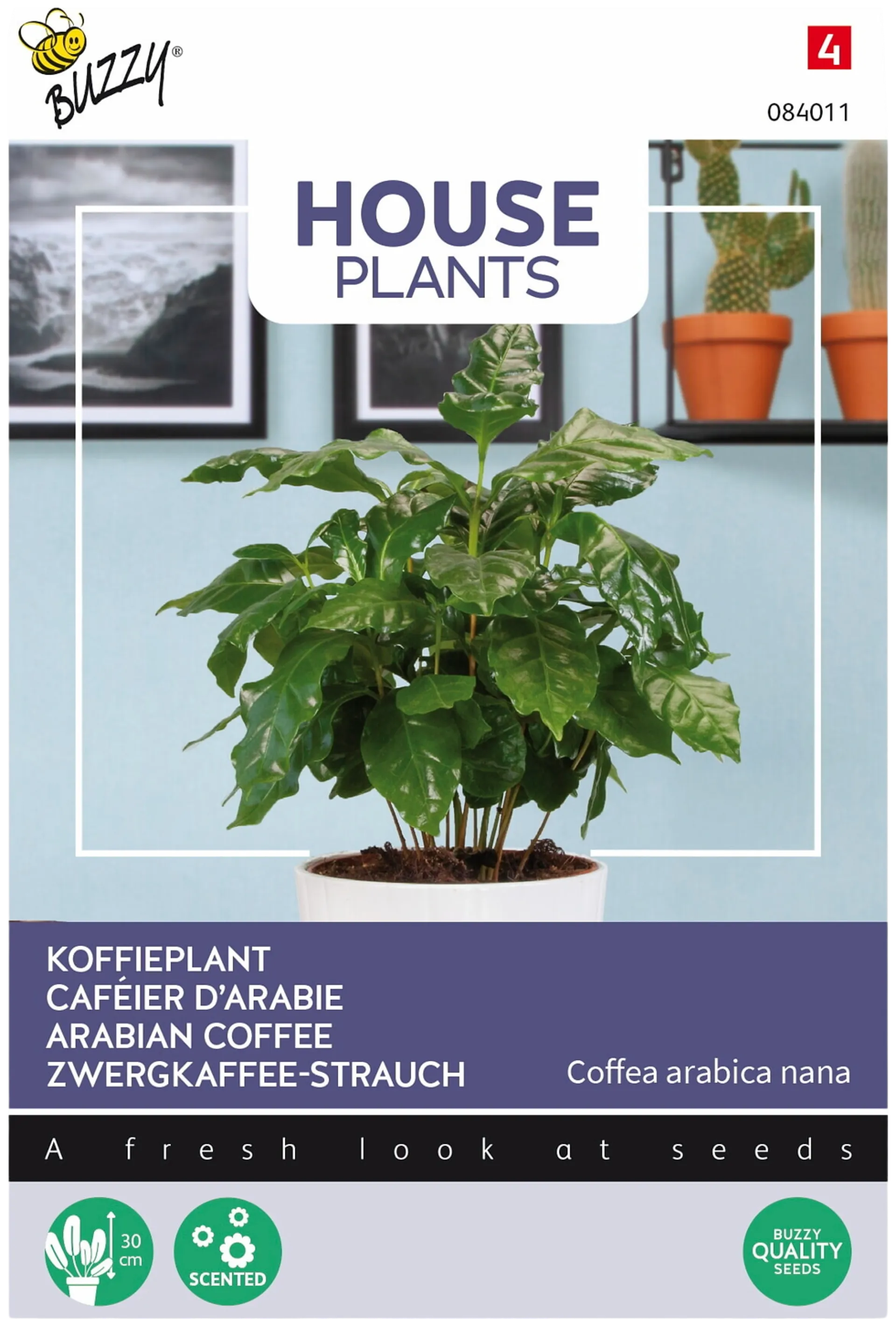 Buzzy® House Plants Coffea arabica, arabiankahvi