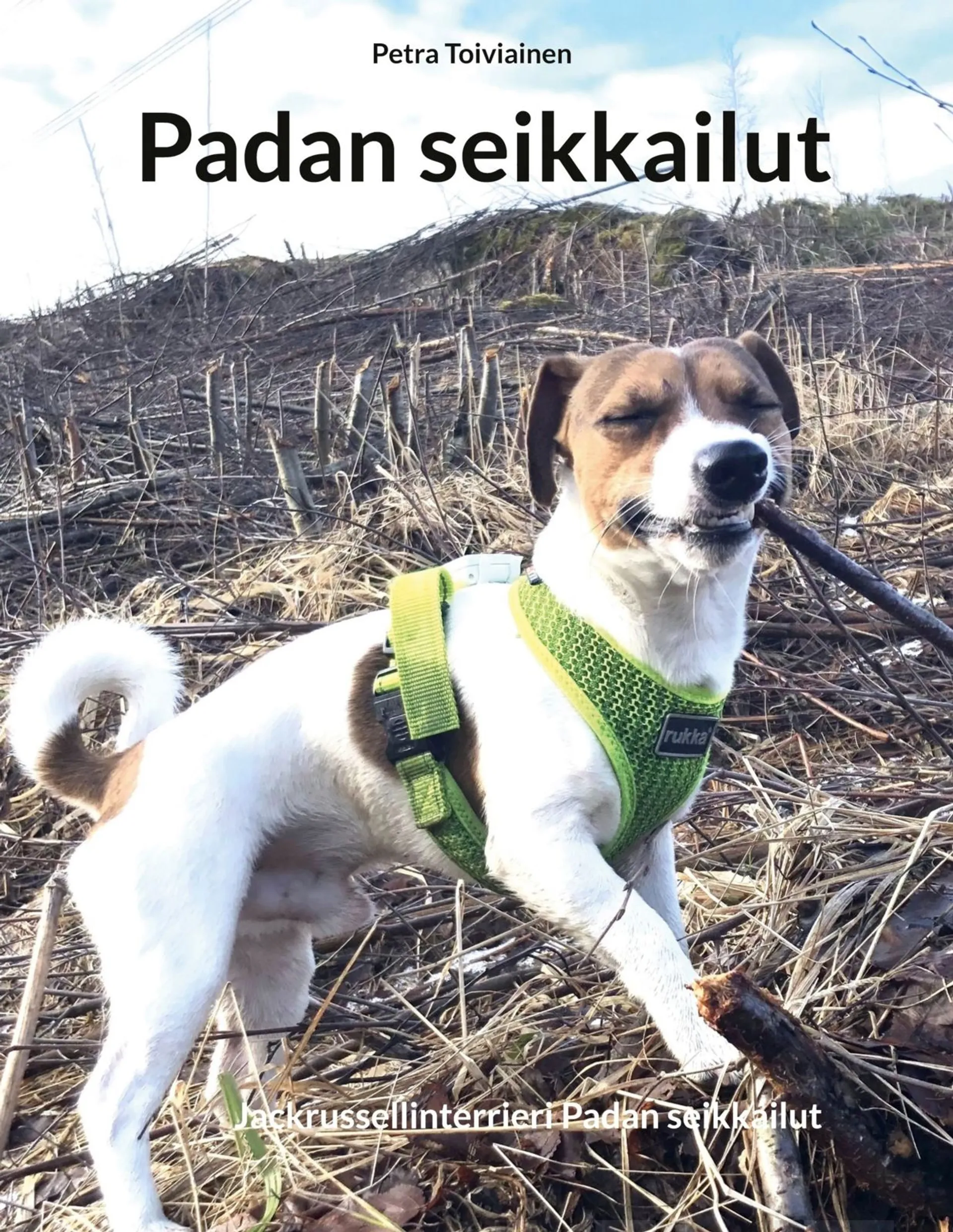 Toiviainen, Padan seikkailut