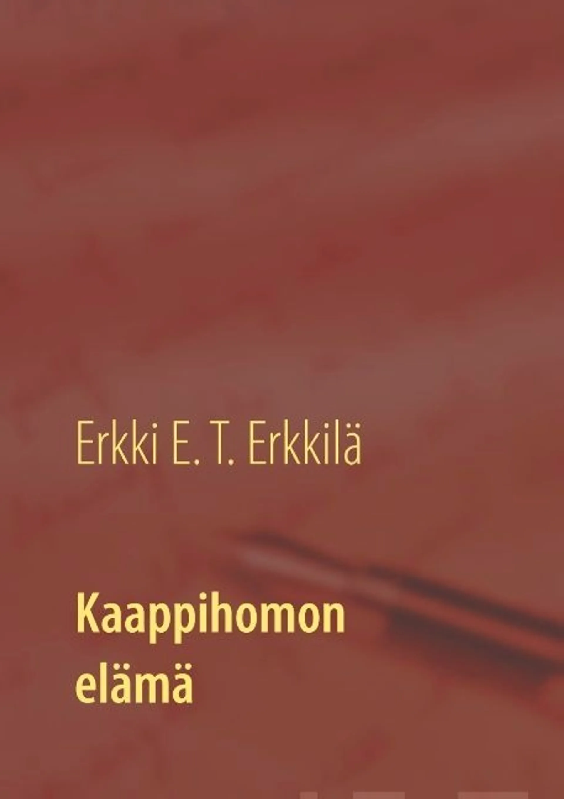 Erkkilä, Kaappihomon elämä - Kohokohtia omin ja muiden silmin