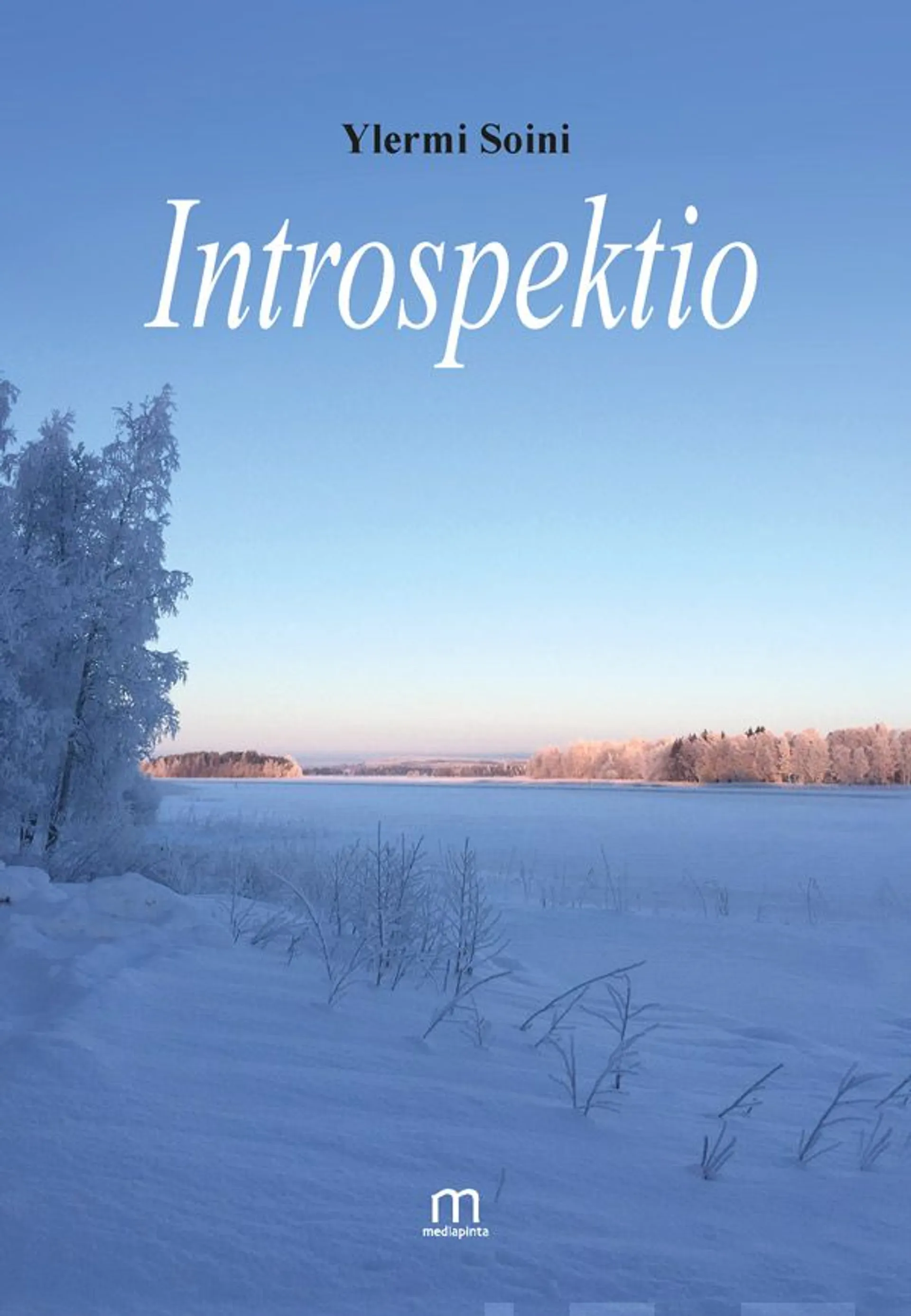 Soini, Introspektio