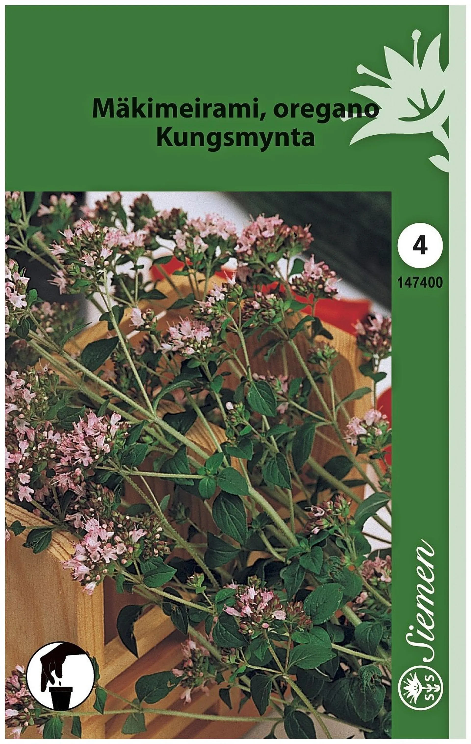 Mäkimeirami (Origanum) Mv