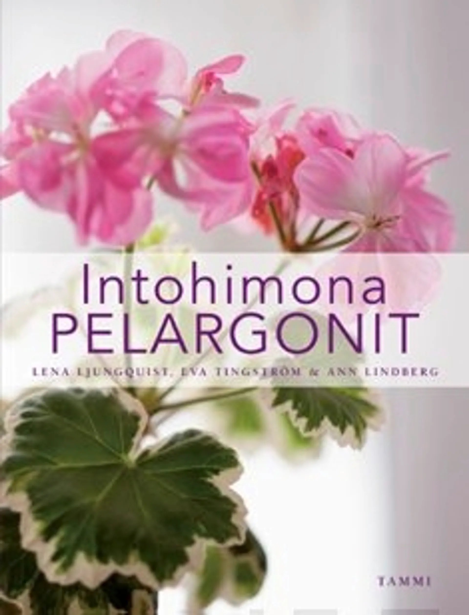 Intohimona pelargonit