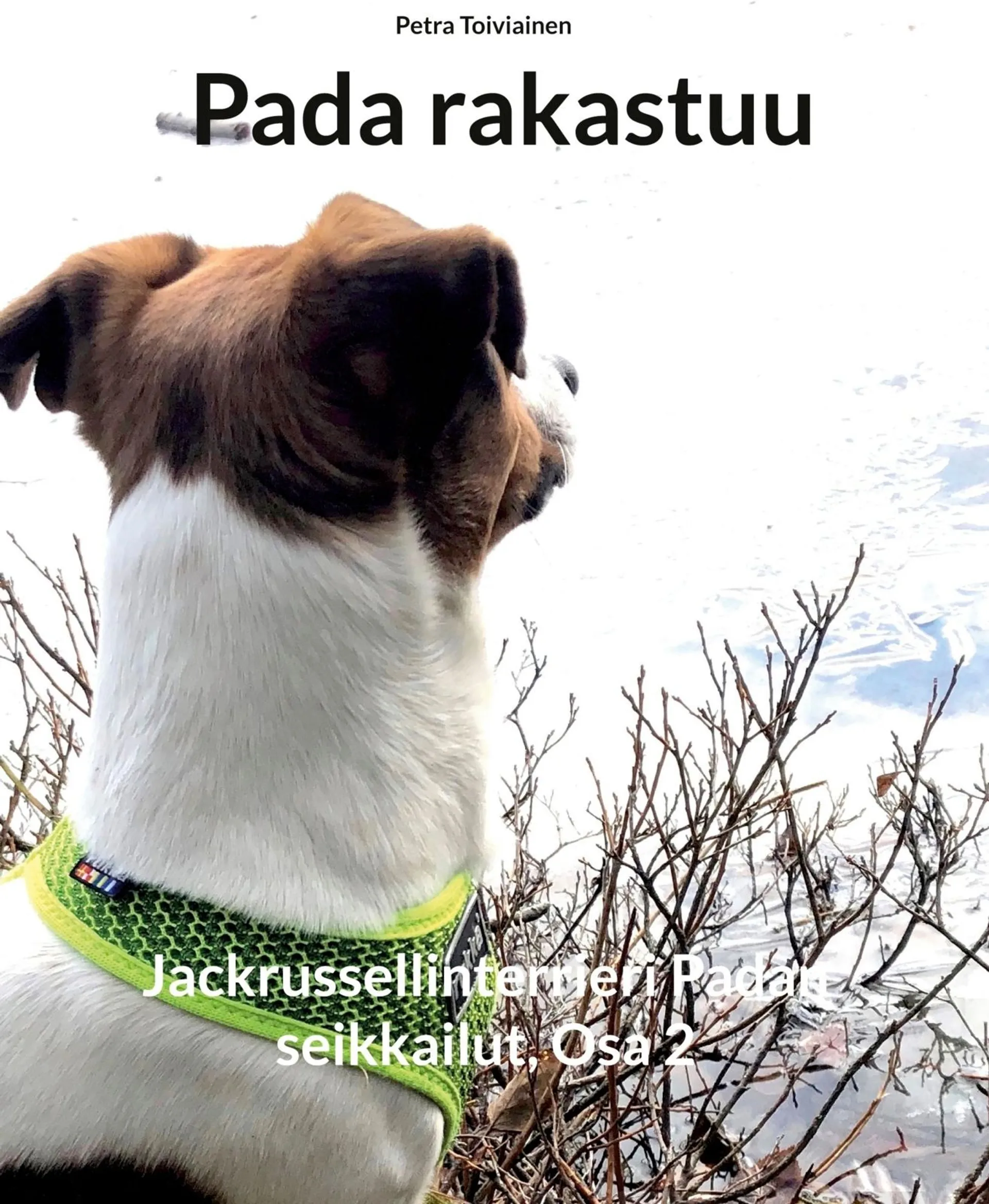 Toiviainen, Pada rakastuu