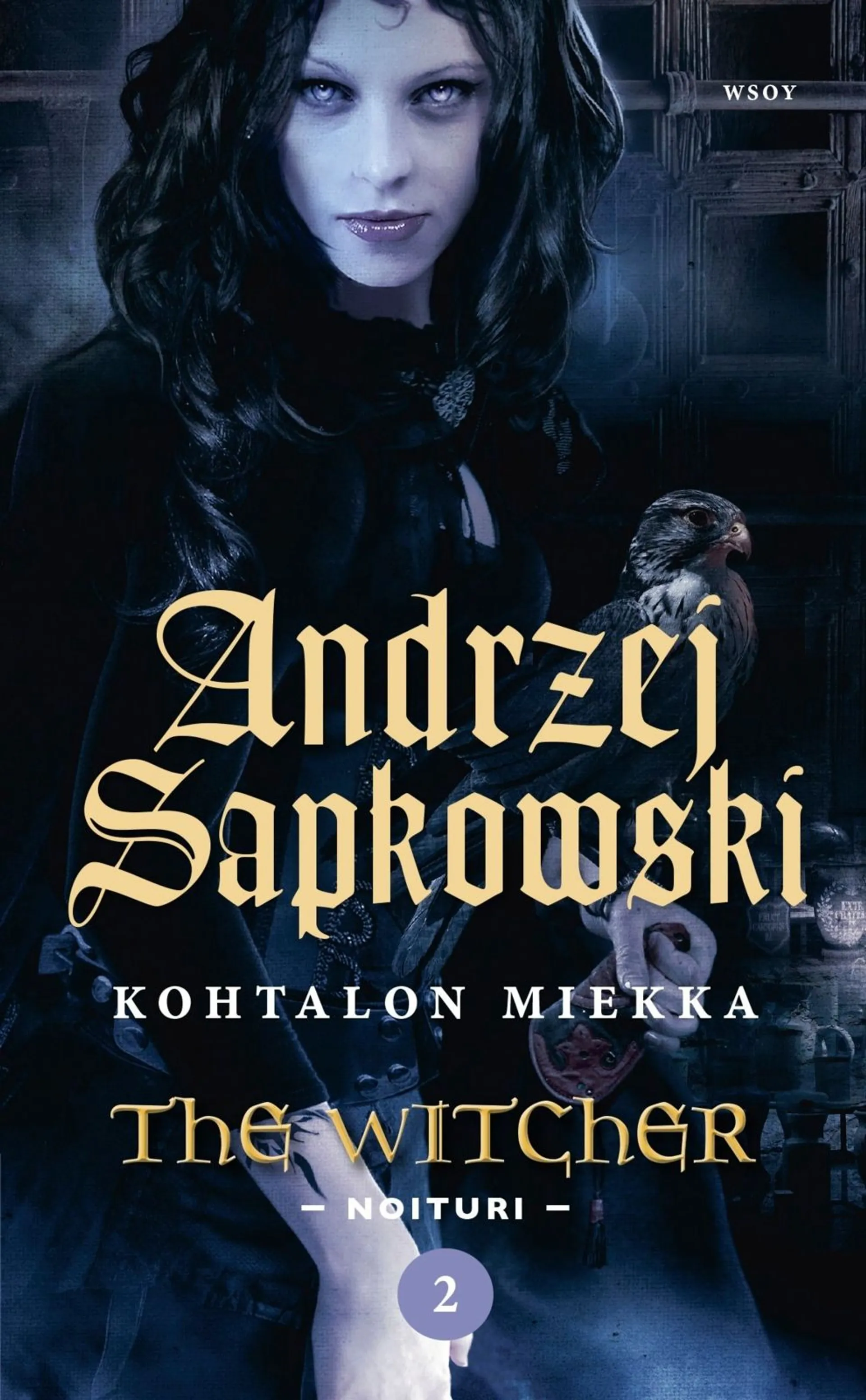 Sapkowski, Kohtalon miekka - The Witcher - Noituri 2