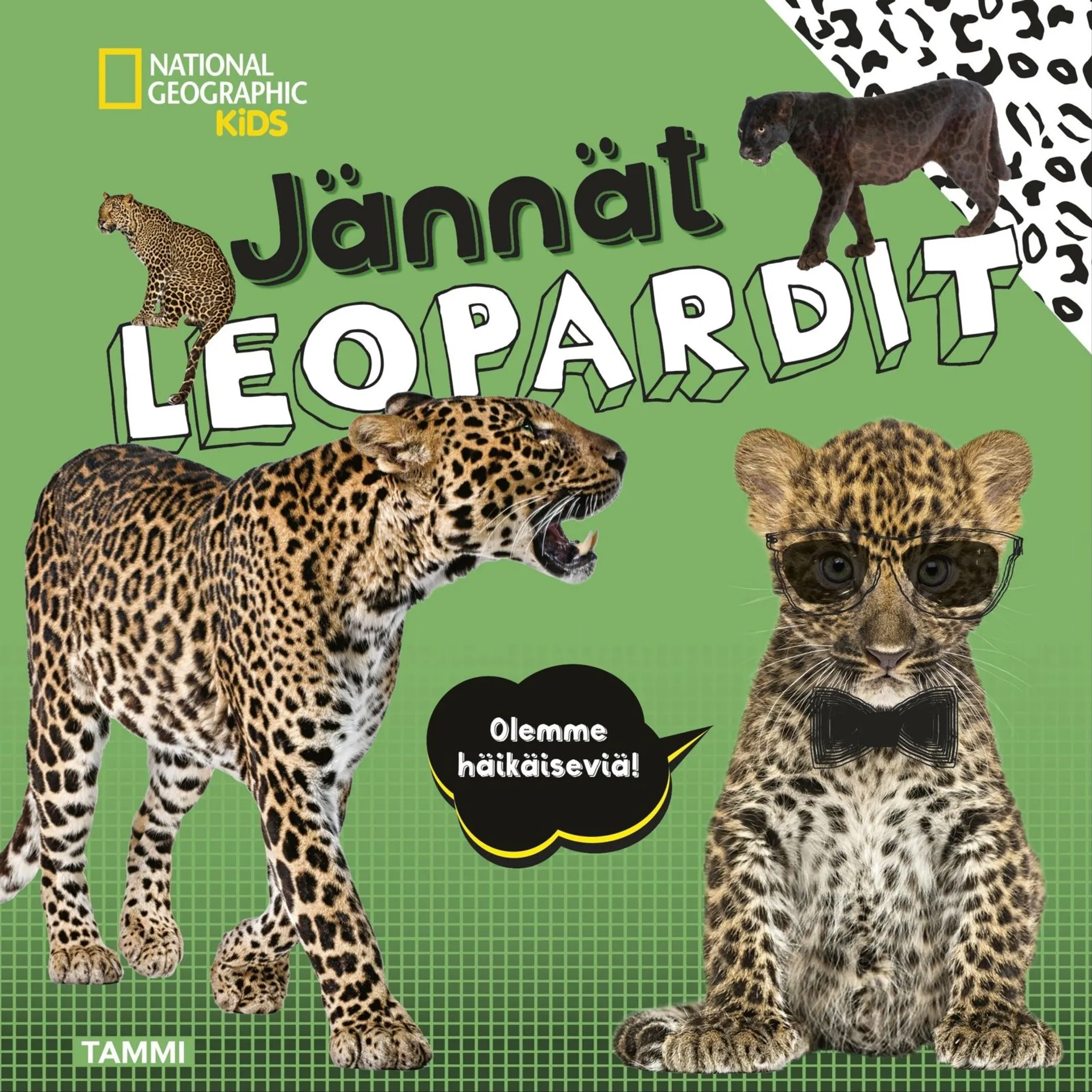 Boyer, National Geographic. Jännät leopardit