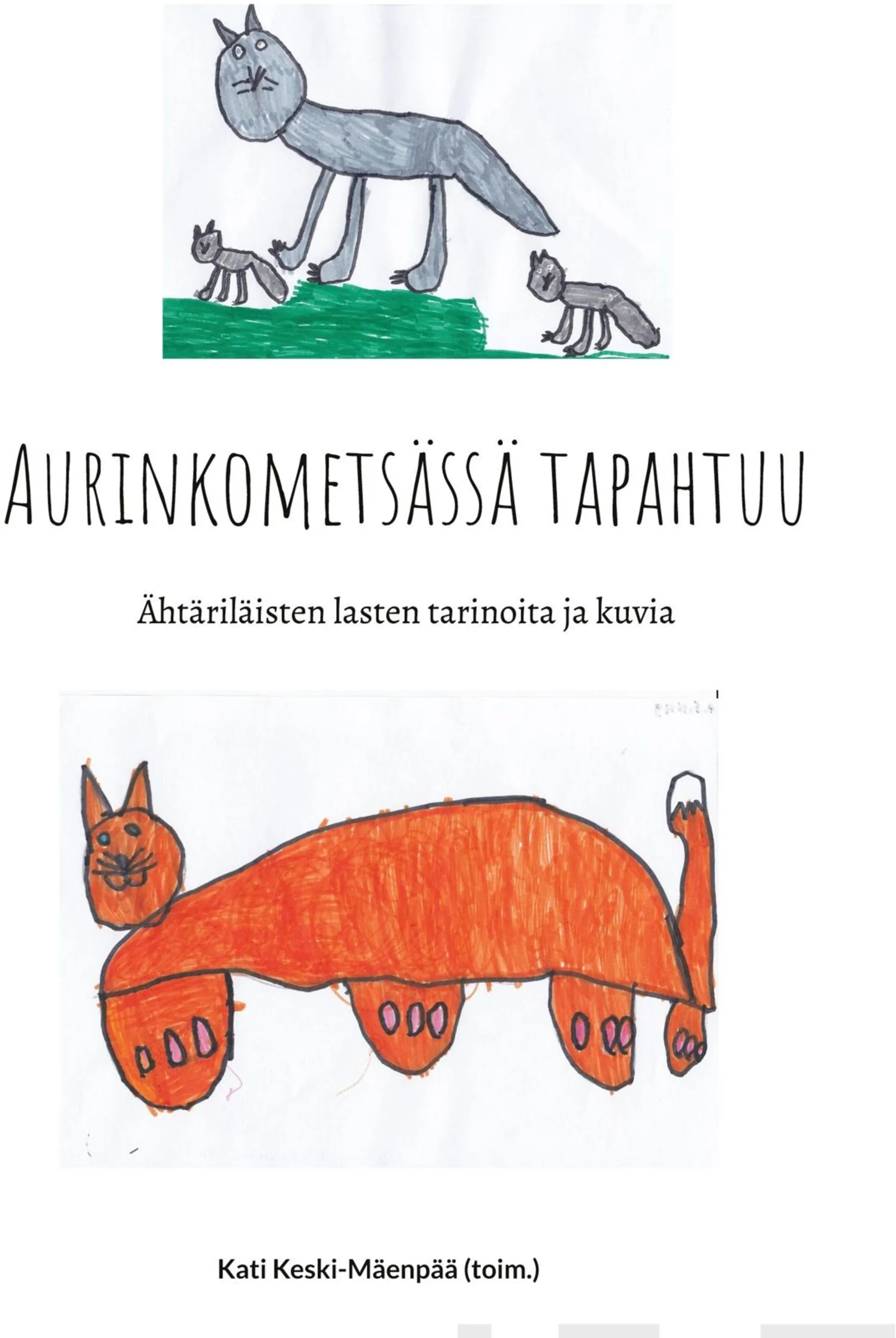 Aurinkometsässä tapahtuu