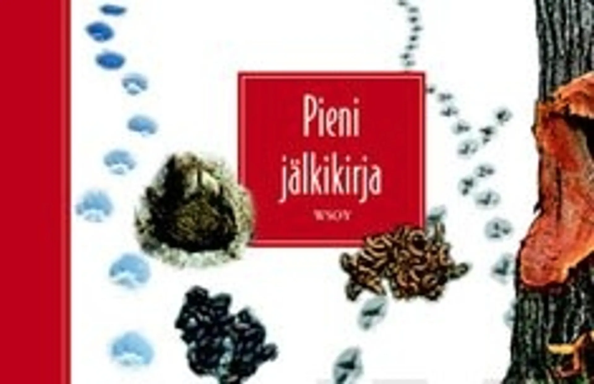 Pieni jälkikirja