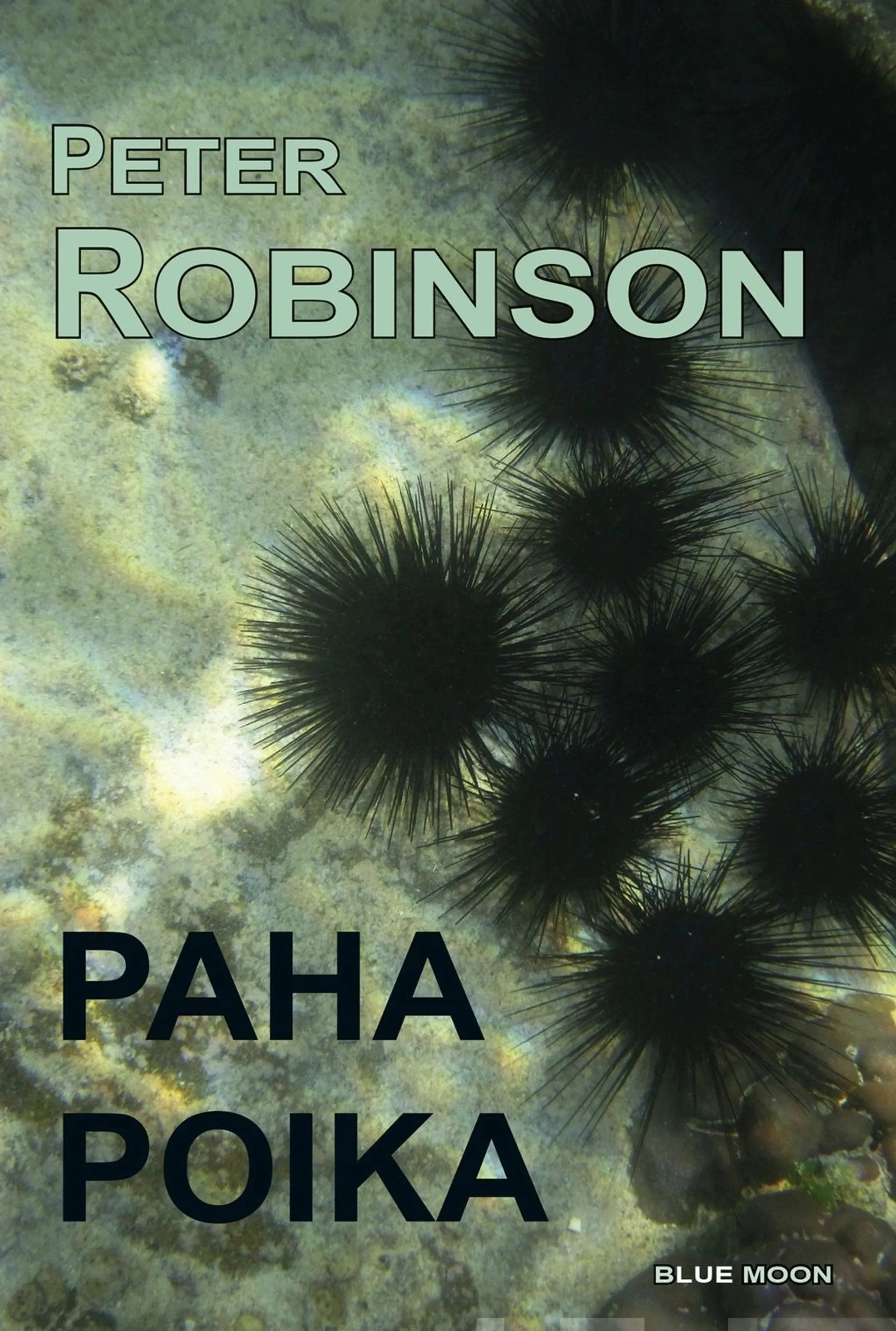 Robinson, Paha poika