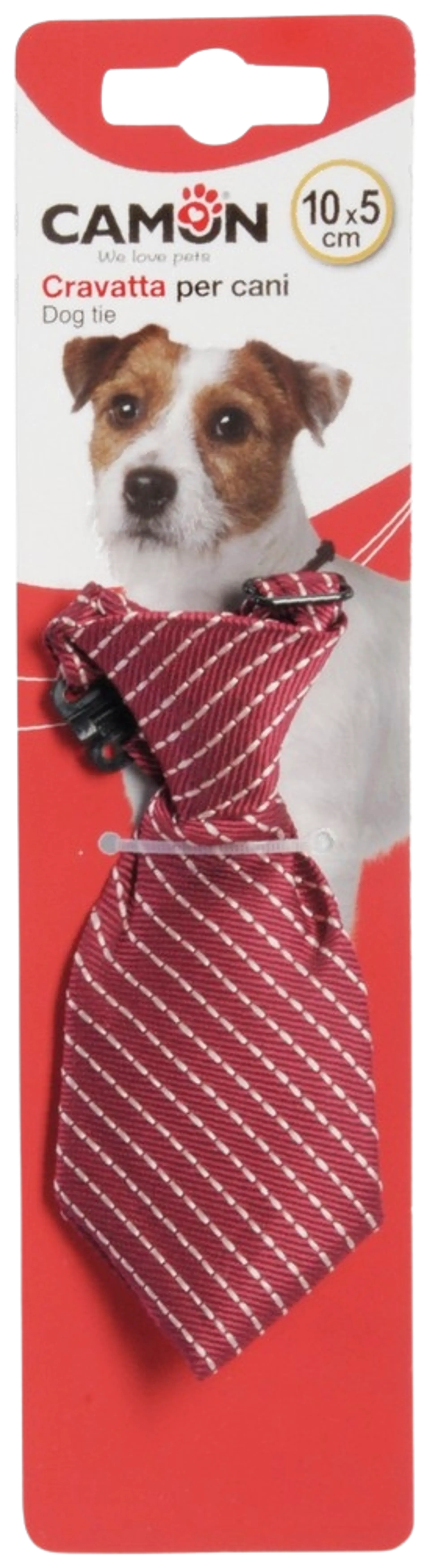 Camon koiran kravatti 10cm - 1