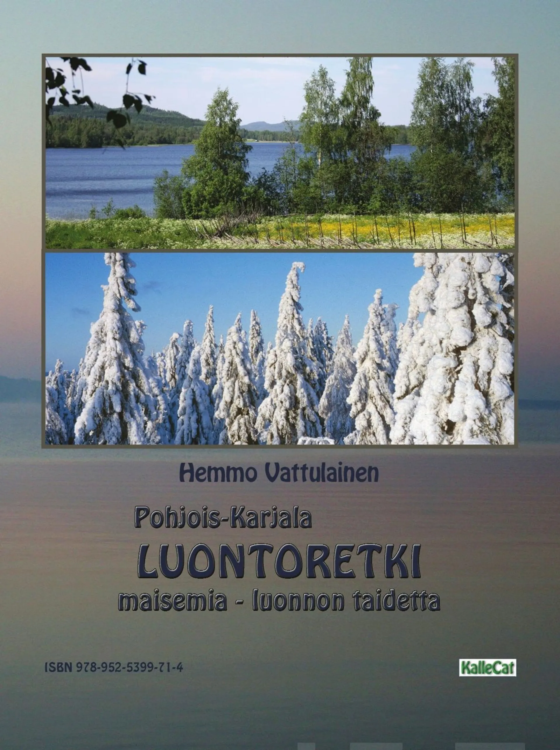 Pohjois-Karjala - Luontoretki - maisemia - luonnontaidetta