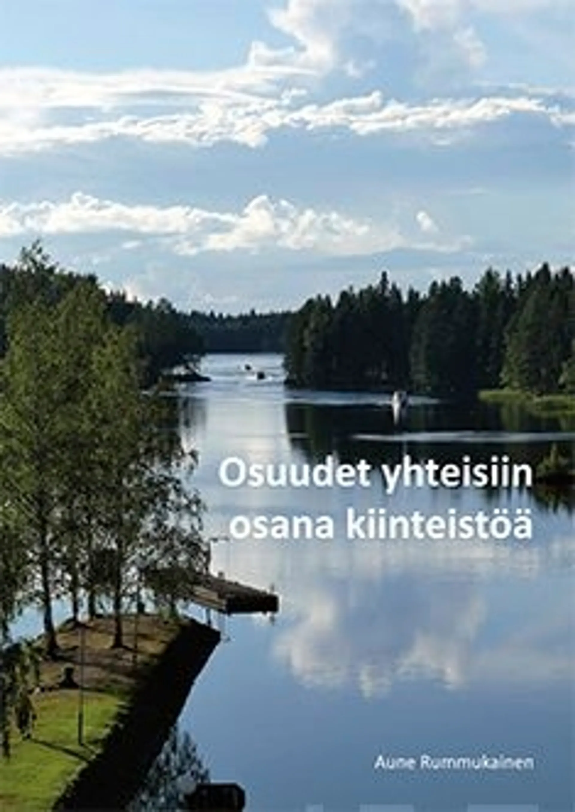 Rummukainen, Osuudet yhteisiin osana kiinteistöä