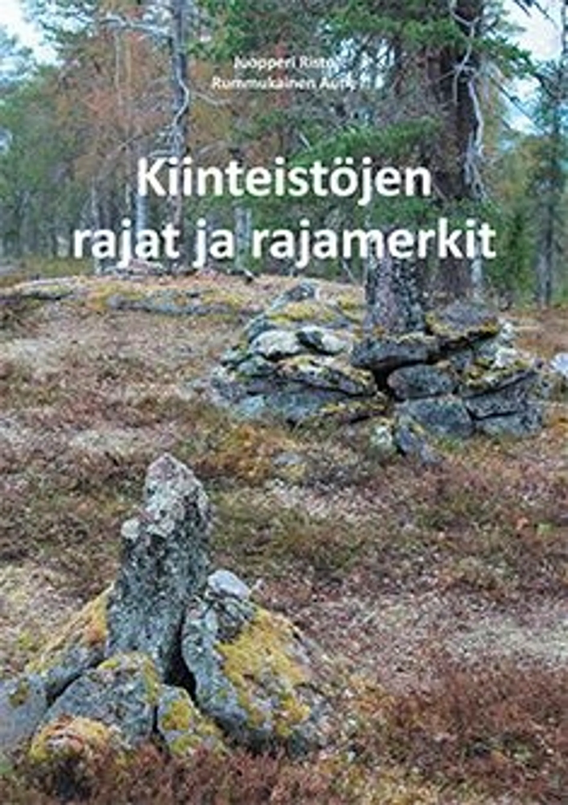 Juopperi, Kiinteistöjen rajat ja rajamerkit