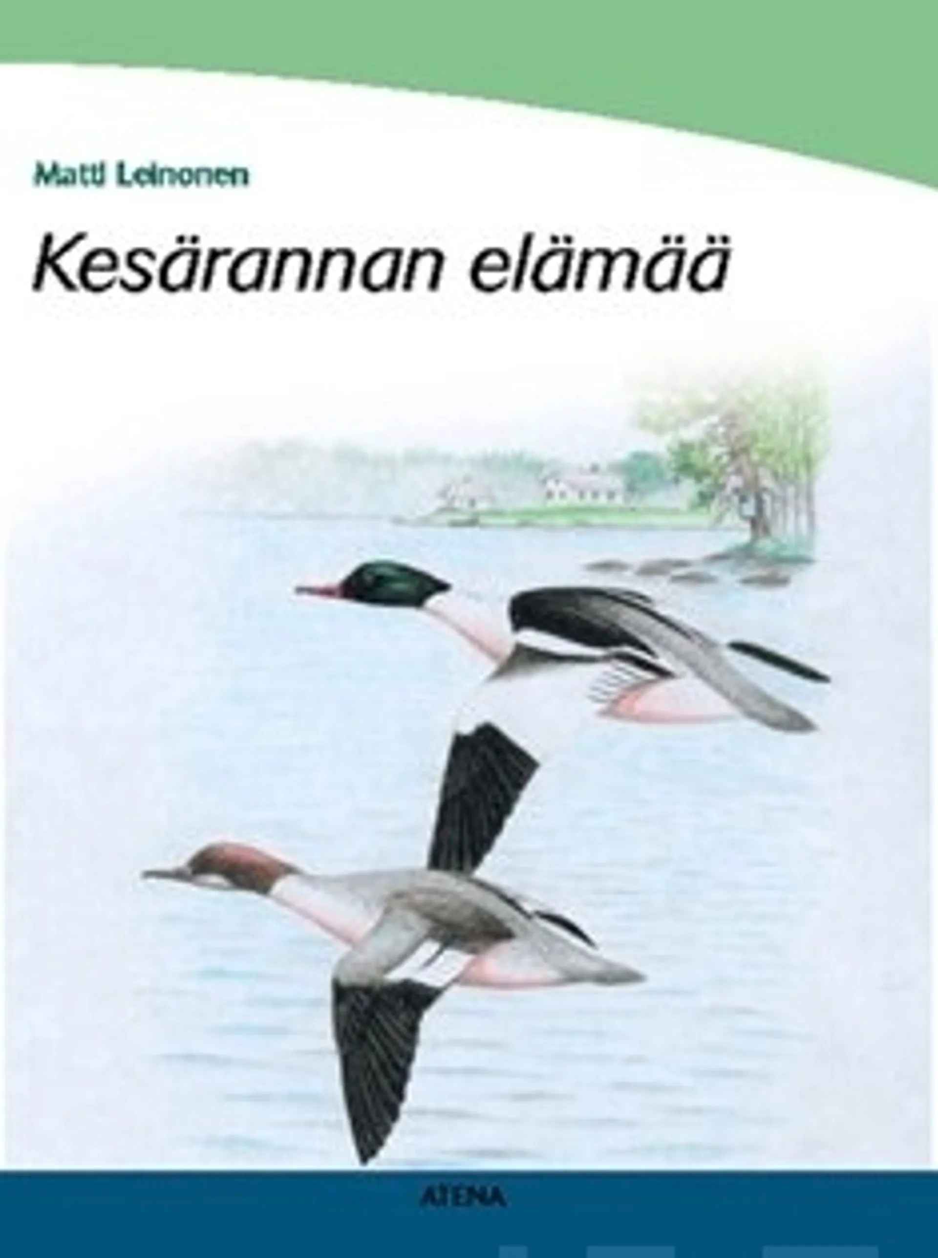 Kesärannan elämää (selkokirja)