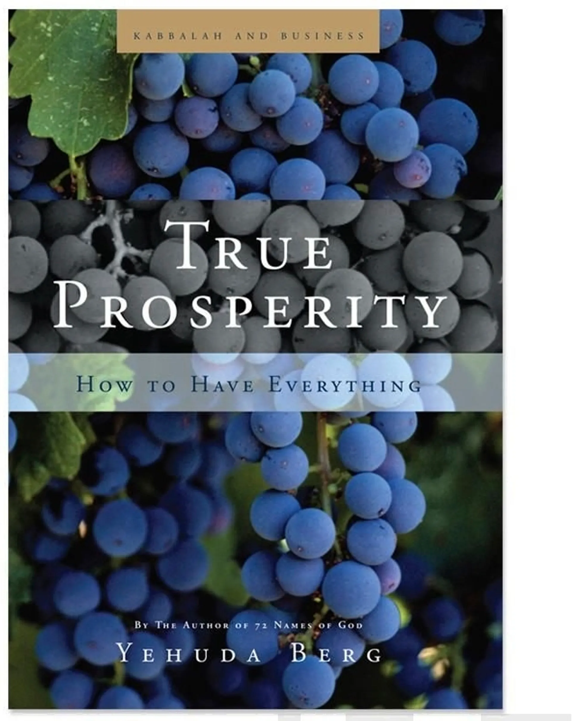 Berg, True Prosperity - How to Have Everything