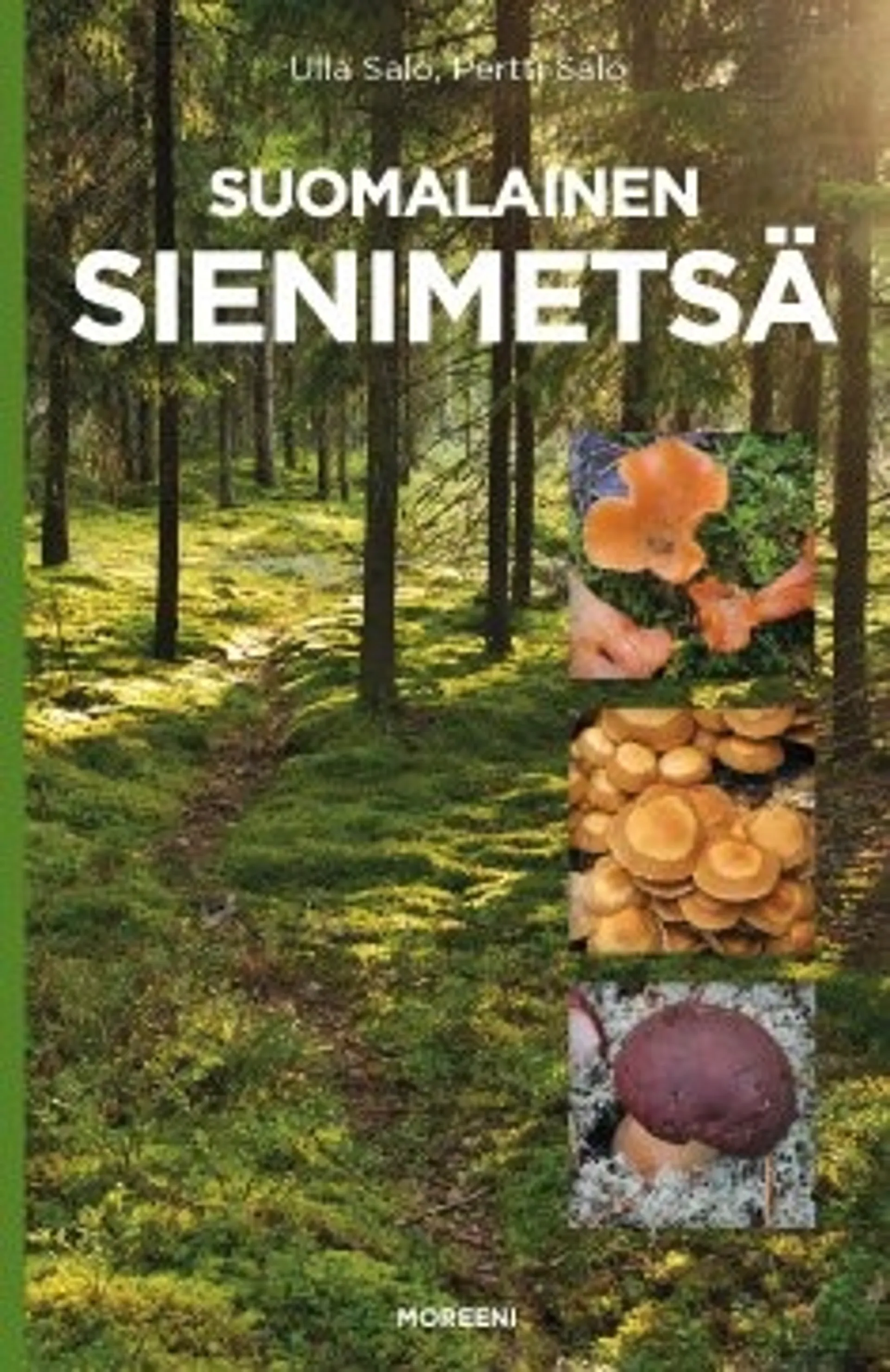 Suomalainen sienimetsä