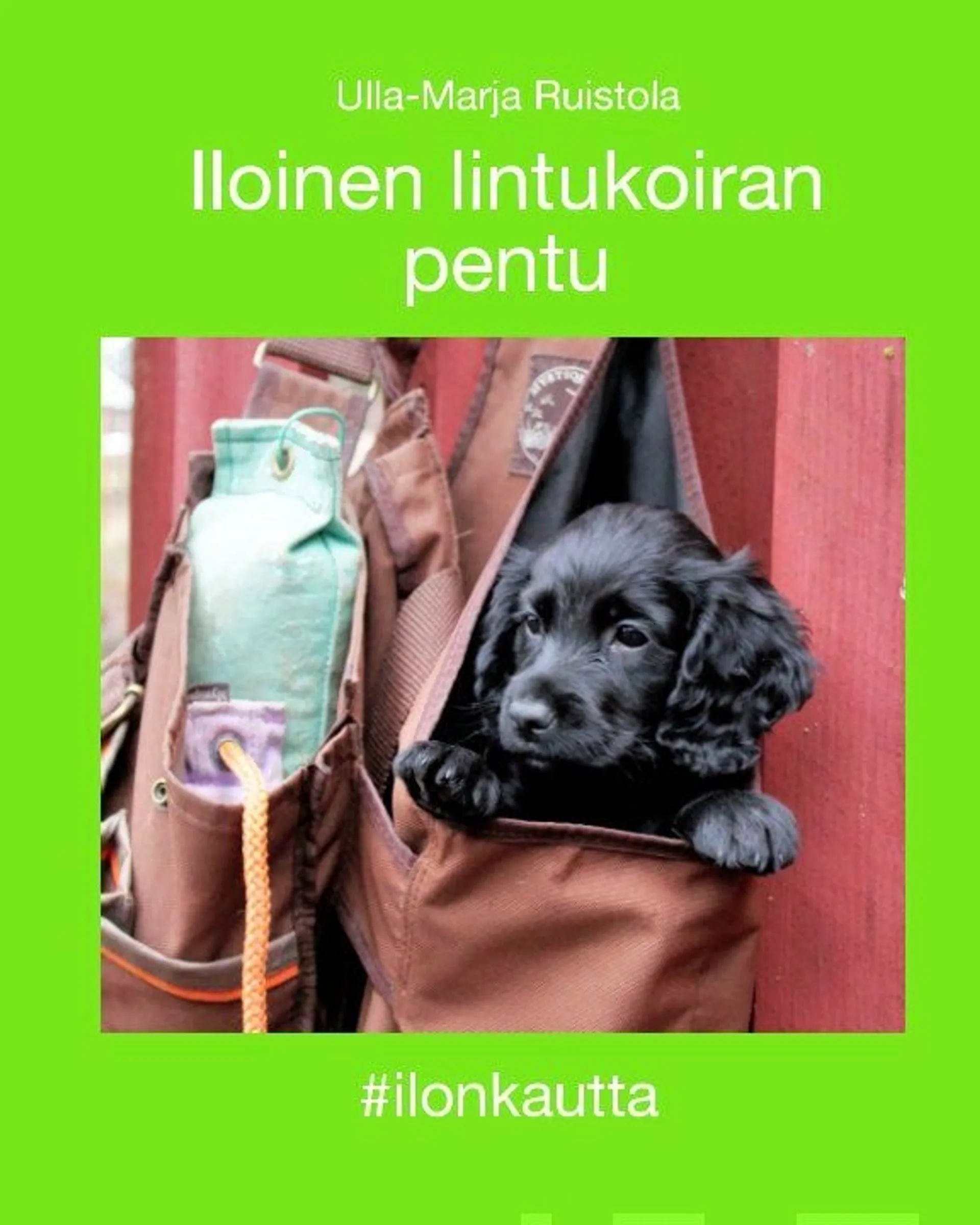 Ruistola, Iloinen lintukoiran pentu - #ilonkautta