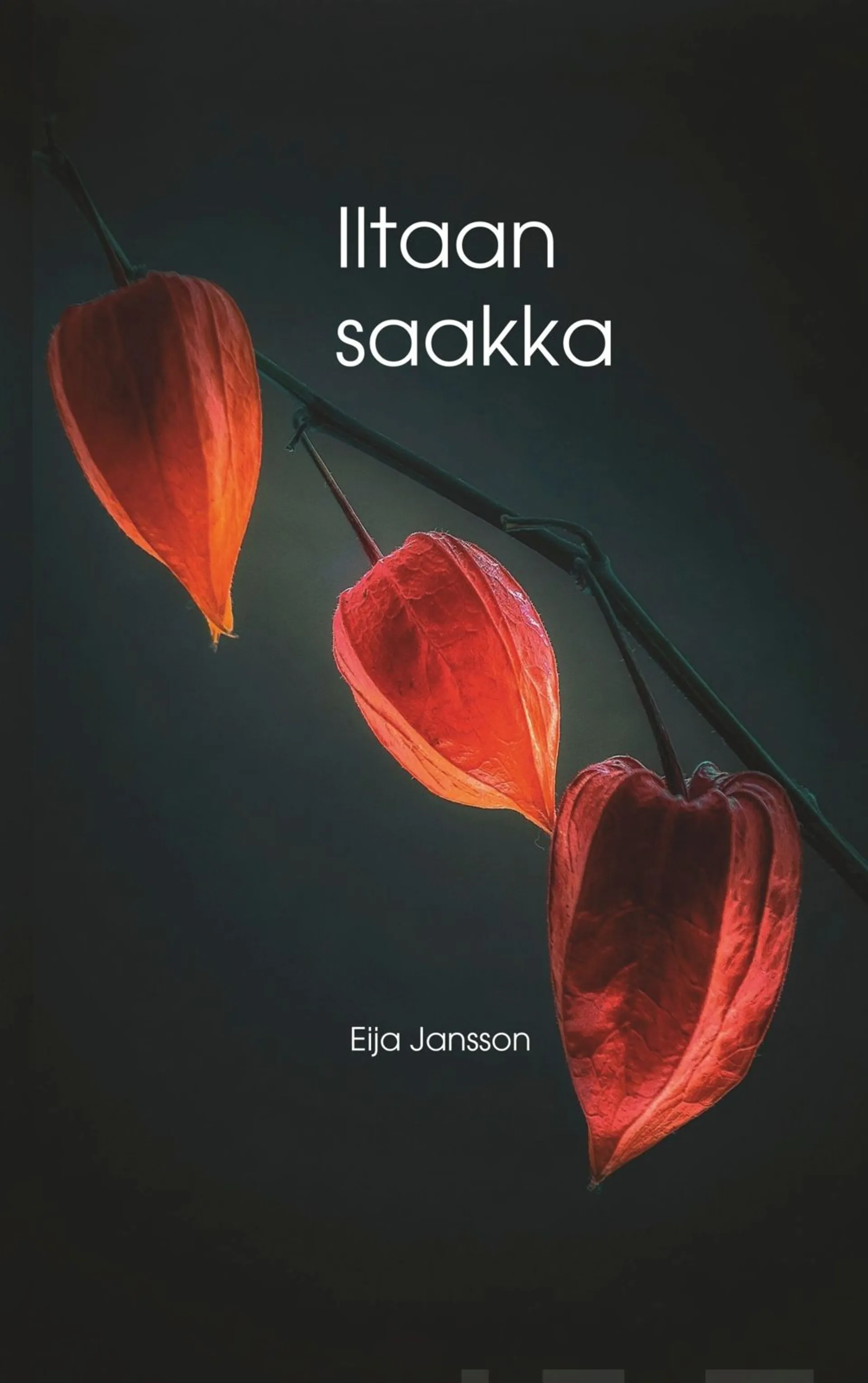 Jansson, Iltaan saakka