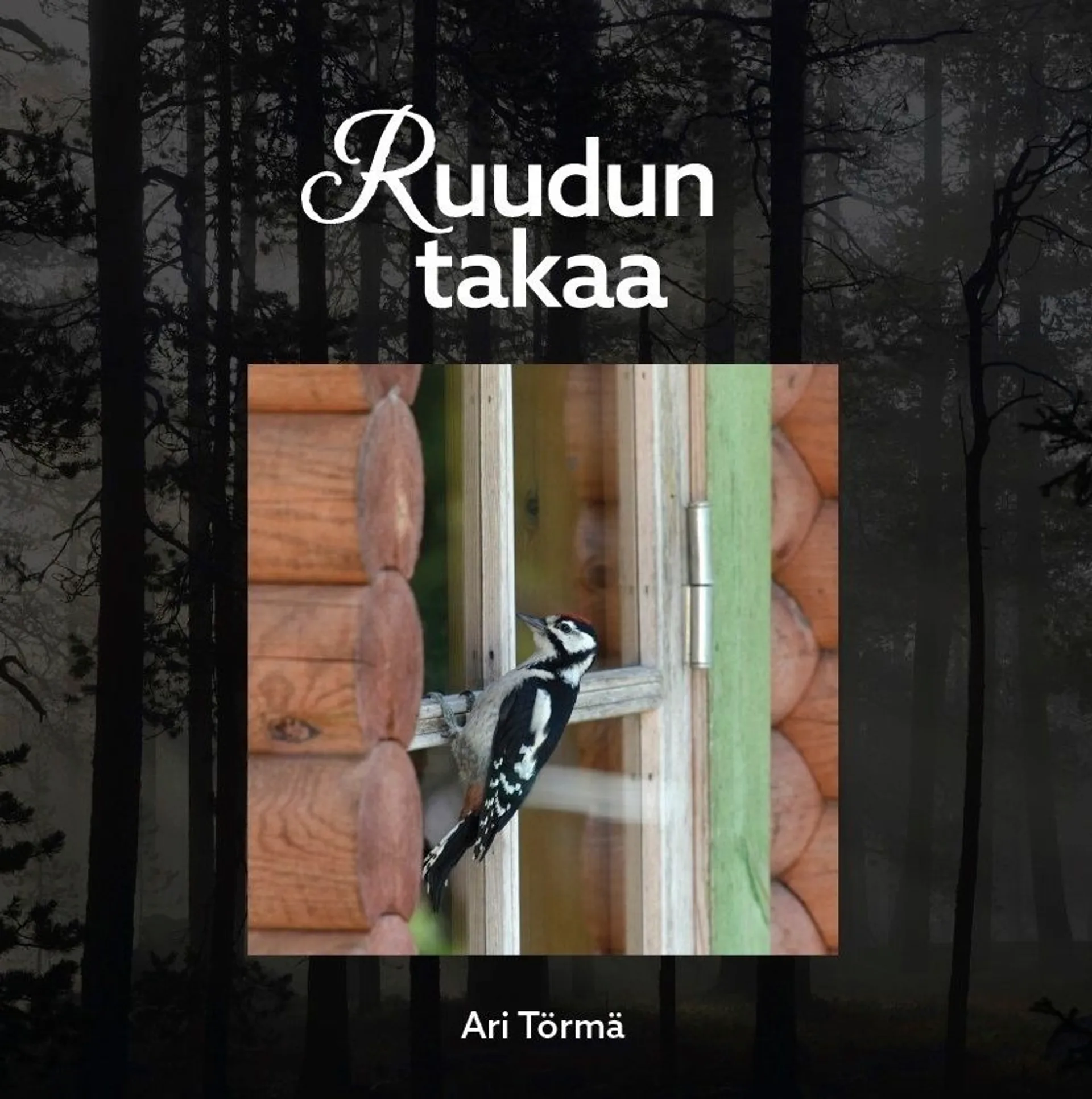 Törmä, Ruudun takaa