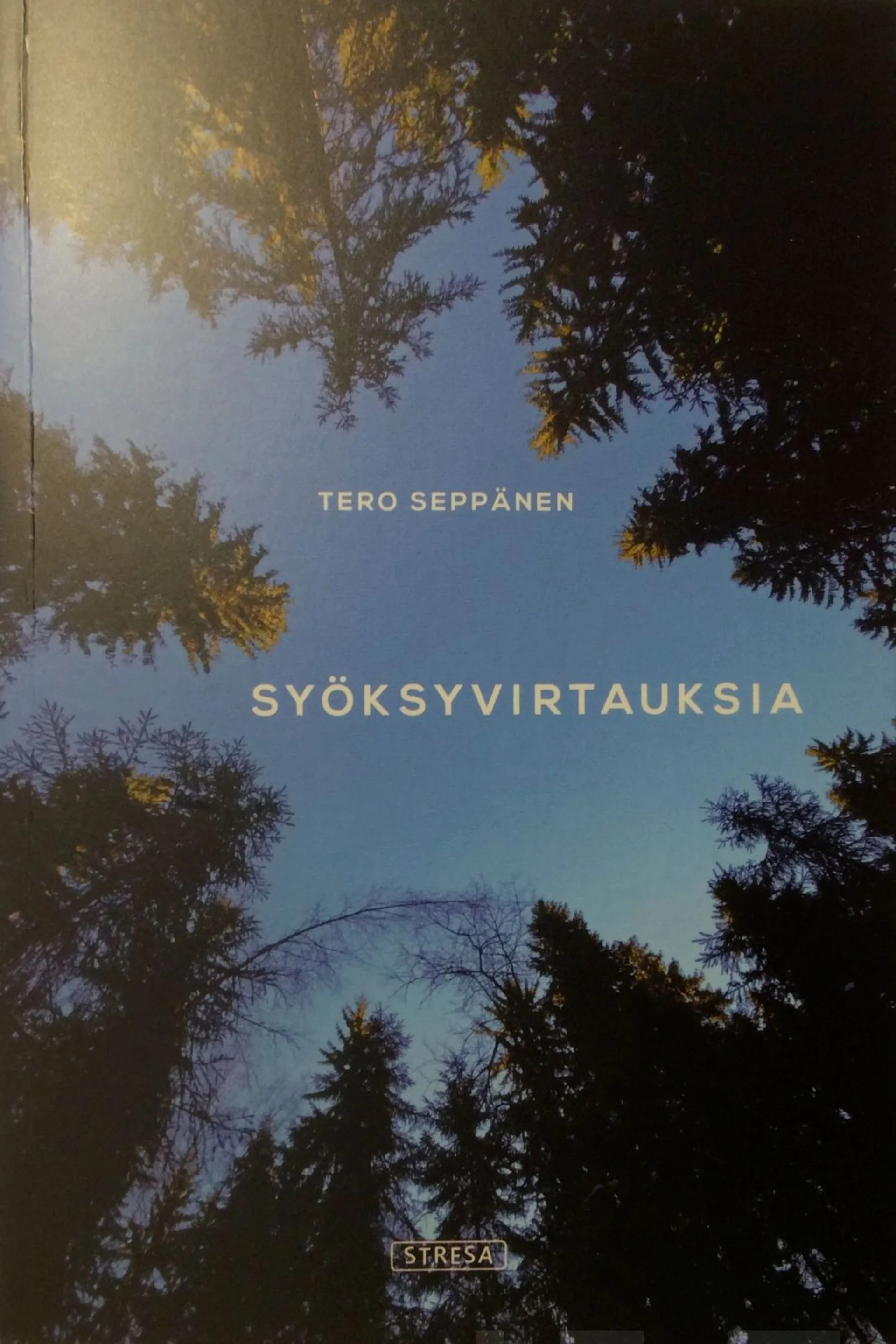 Seppänen, Syöksyvirtauksia