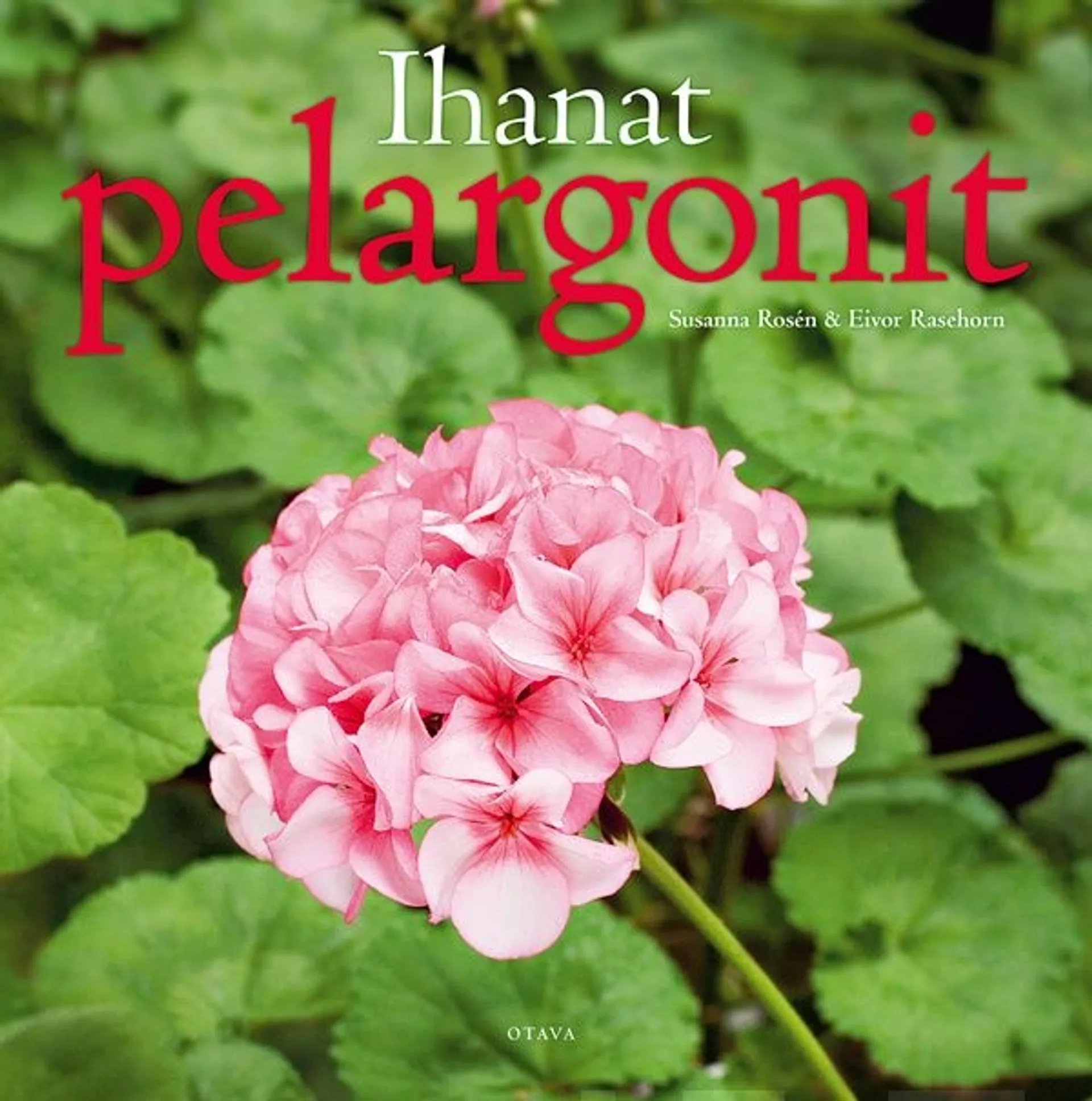 Rosén, Ihanat pelargonit