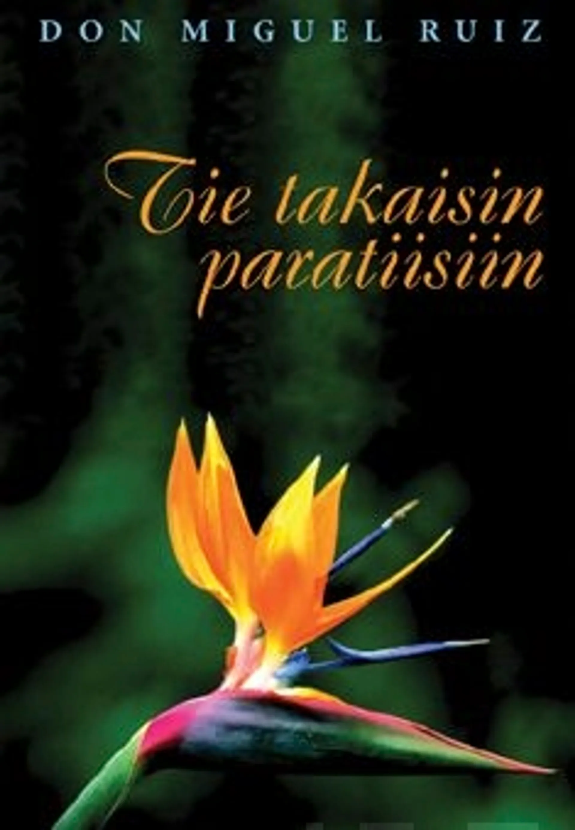 Ruiz, Tie takaisin paratiisiin