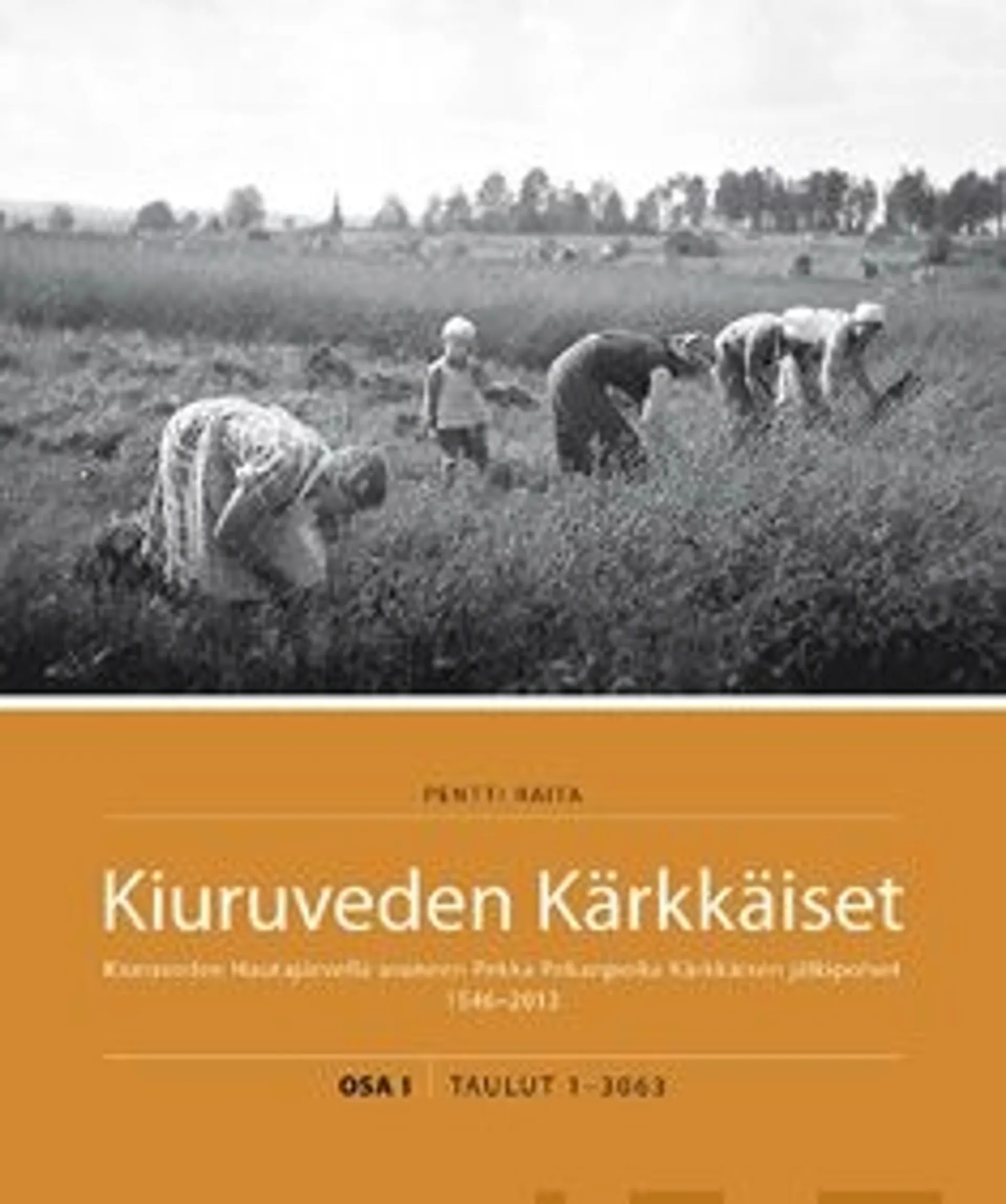 Raita, Kiuruveden Kärkkäiset - Kiuruveden Hautajärvellä asuneen Pekka Pekanpoika Kärkkäisen jälkipolvet 1546-2013