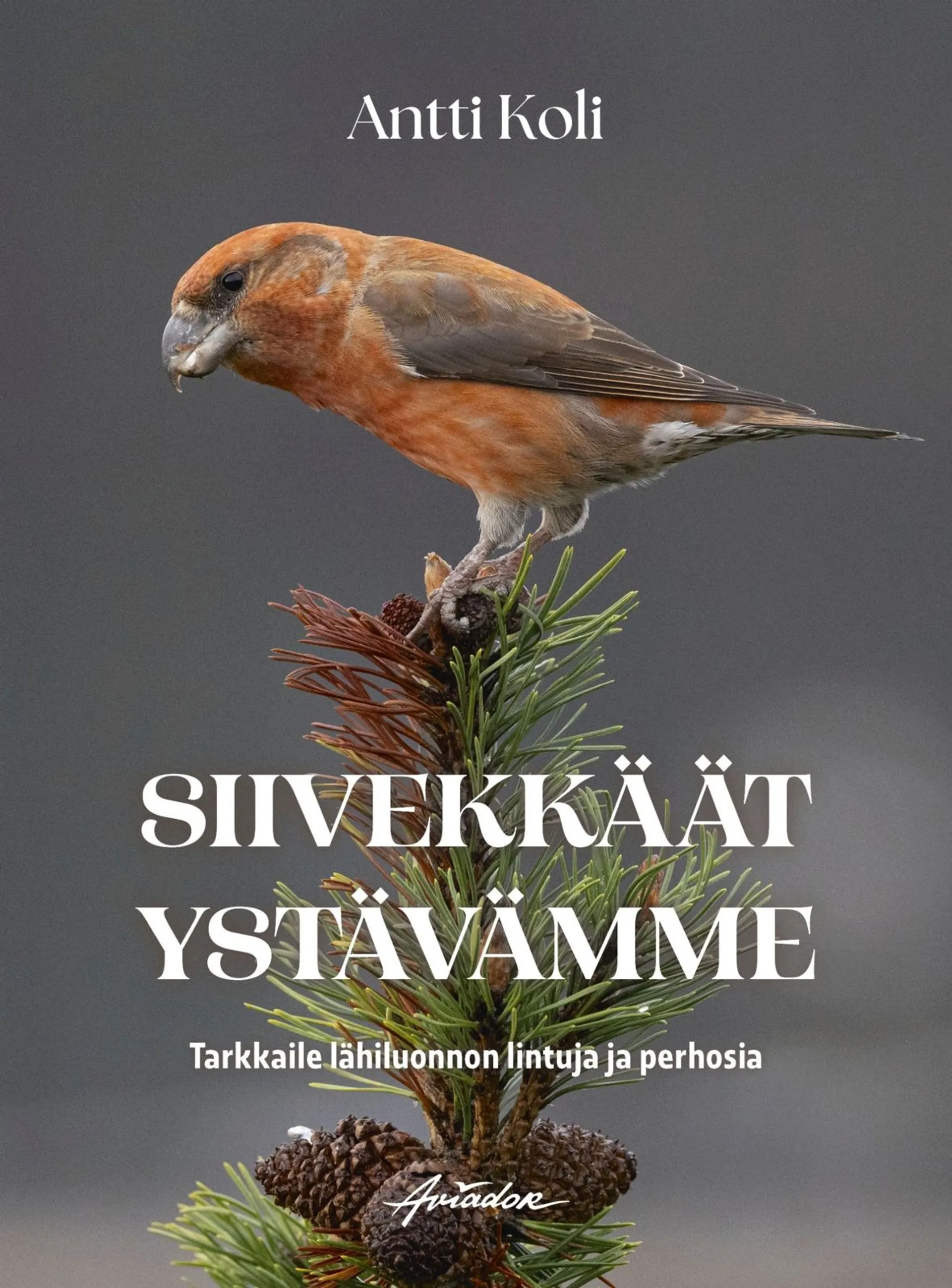 Koli, Siivekkäät ystävämme