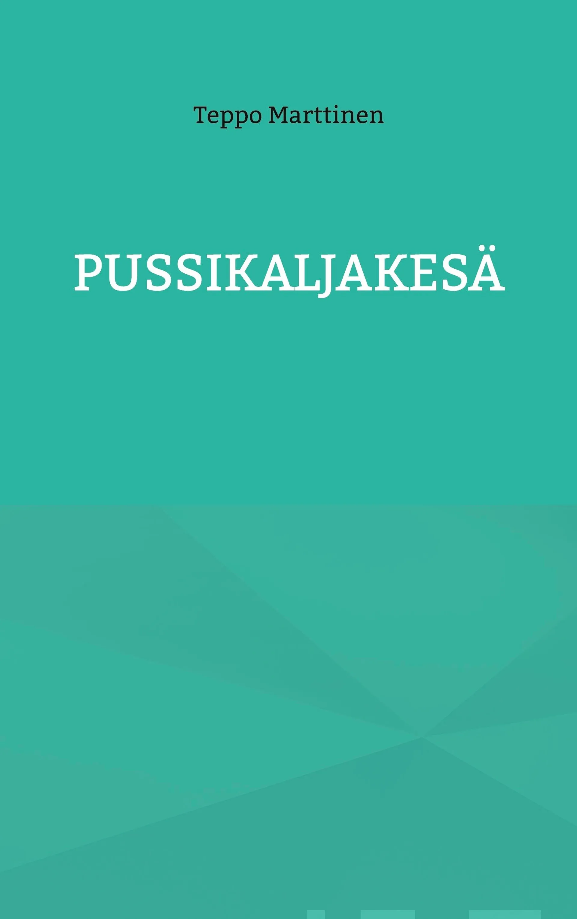 Marttinen, Pussikaljakesä