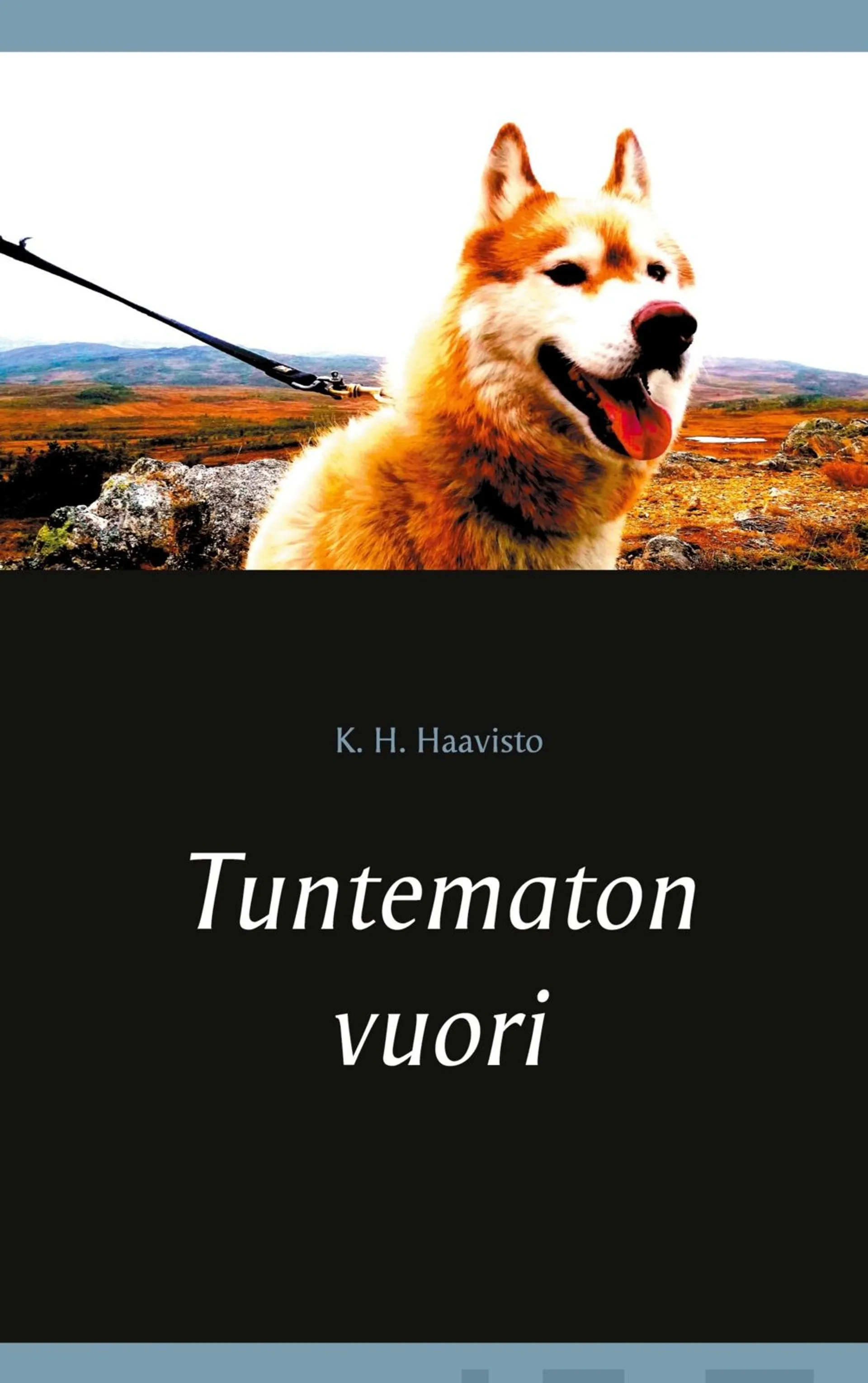 Haavisto, Tuntematon vuori