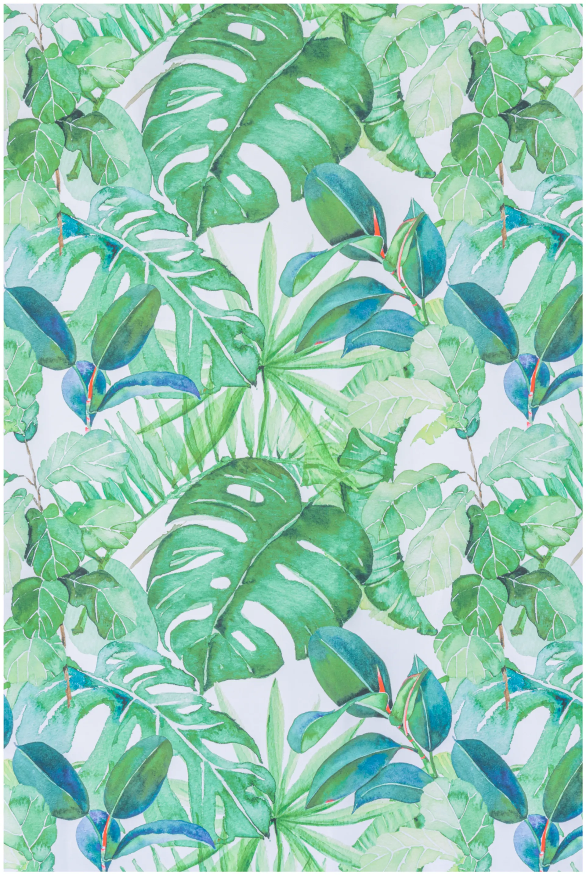 House suihkuverho Monstera 180 x 200 cm vihreä/valkoinen - 3