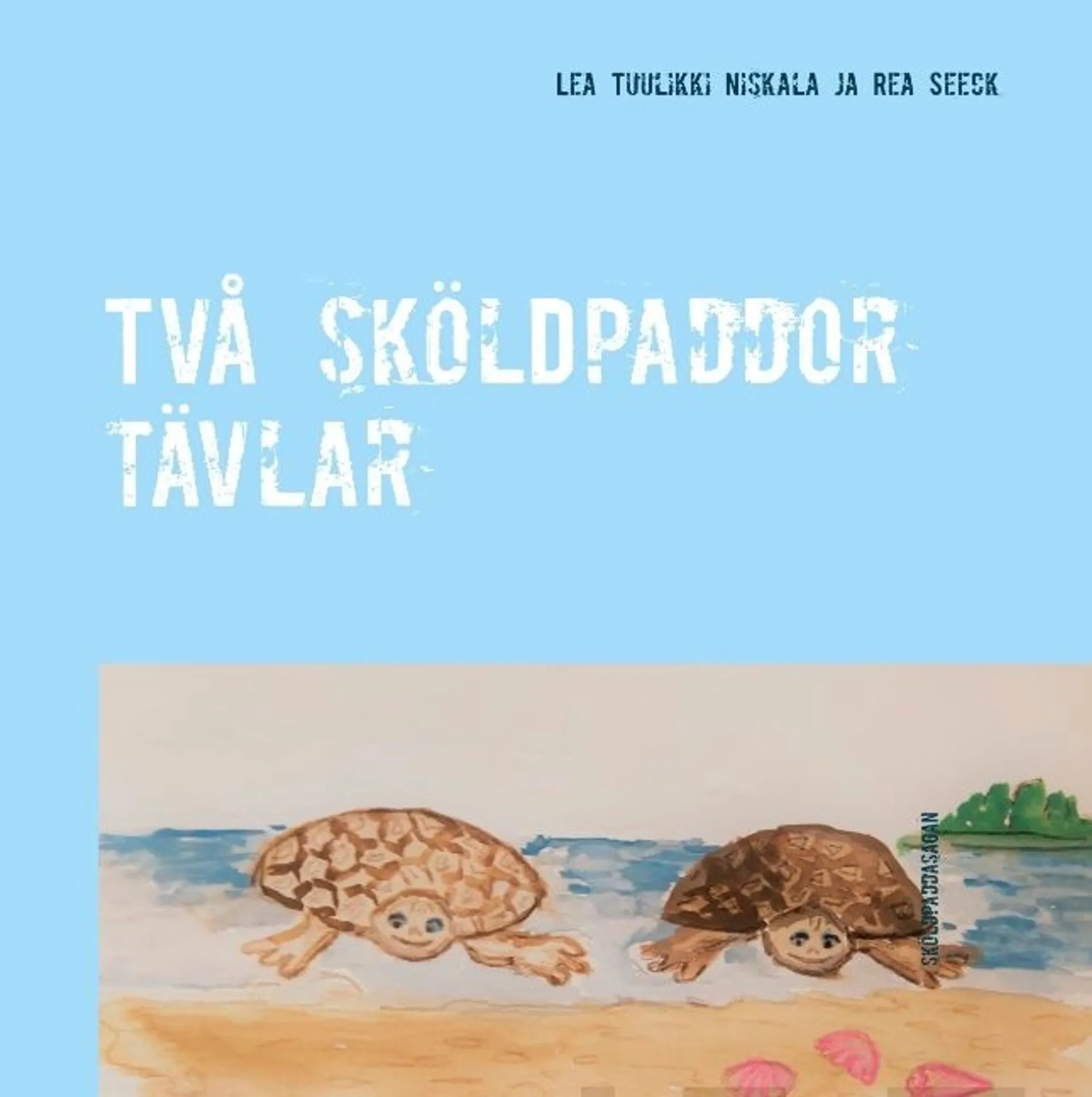 Niskala, Två sköldpaddor tävlar