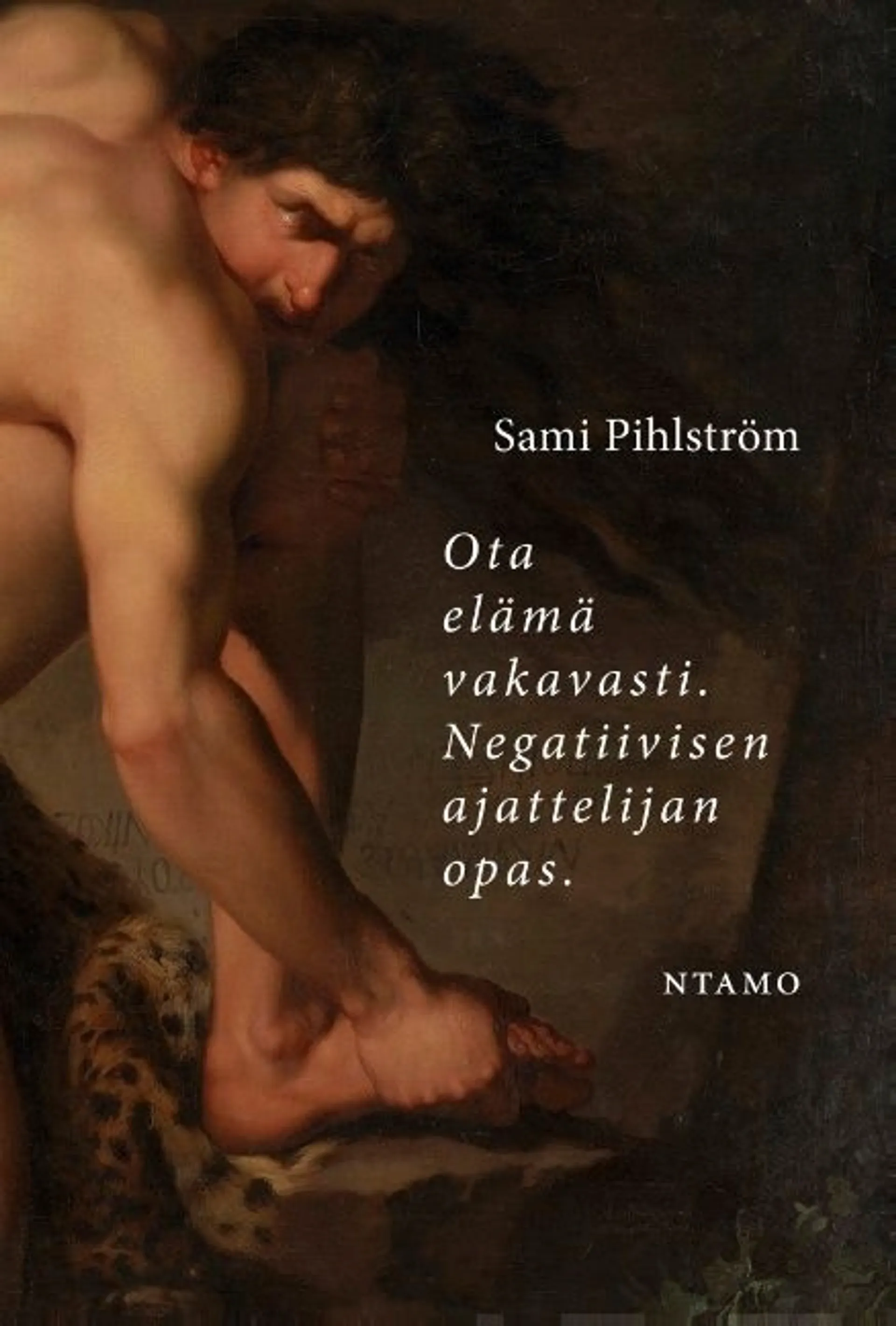 Pihlström, Ota elämä vakavasti - Negatiivisen ajattelijan opas